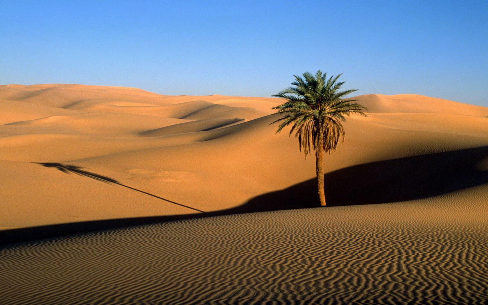 1680x1050 High Quality Desert Wallpaper. Full HD Picture
