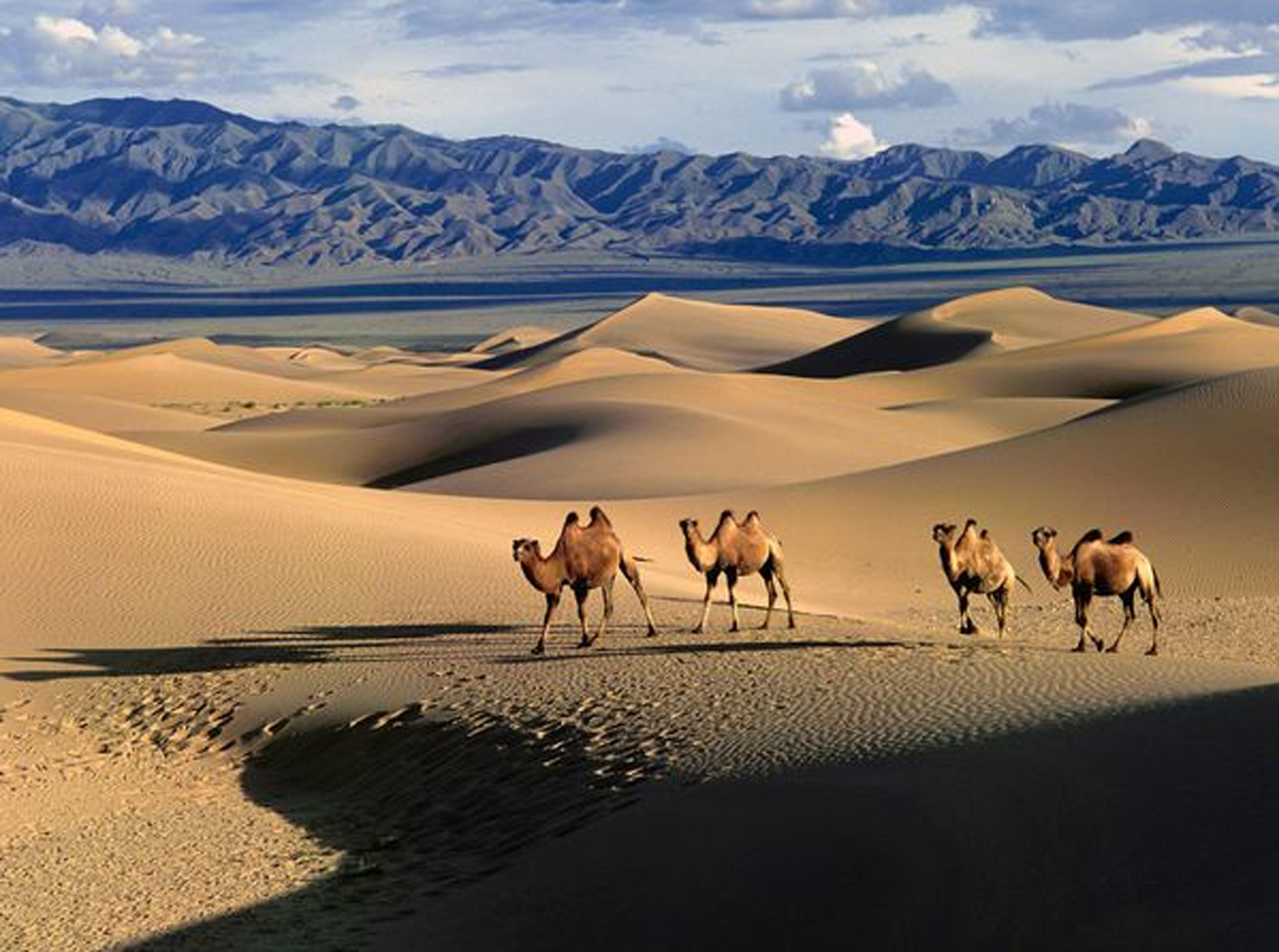 6339x4719 Gallery For > Mongolia Wallpaper