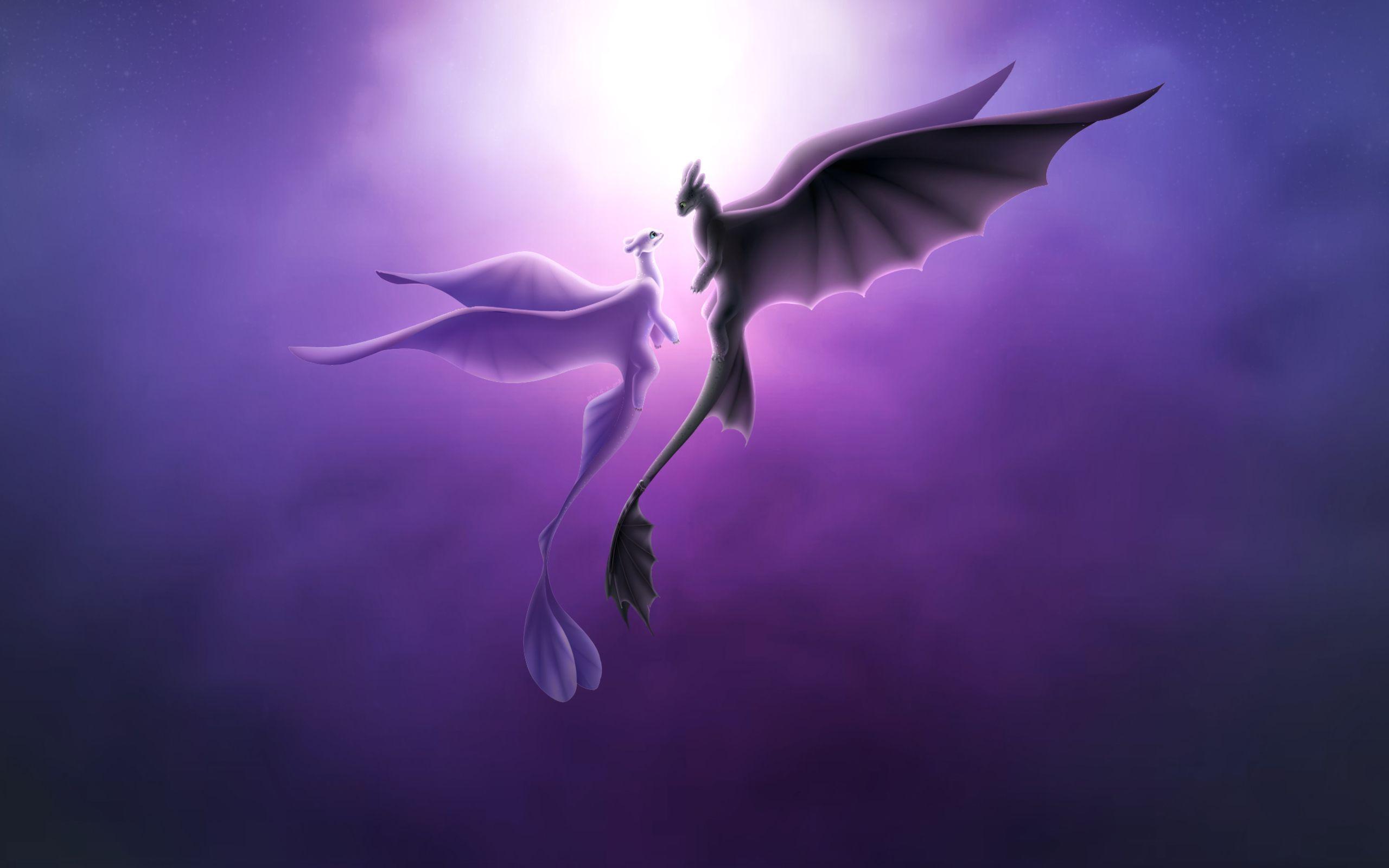 2560x1600 Toothless And Light Fury Romantic Love 2560x1600 Resolution HD 4k Wallpaper, Image, Background, Photo and Picture