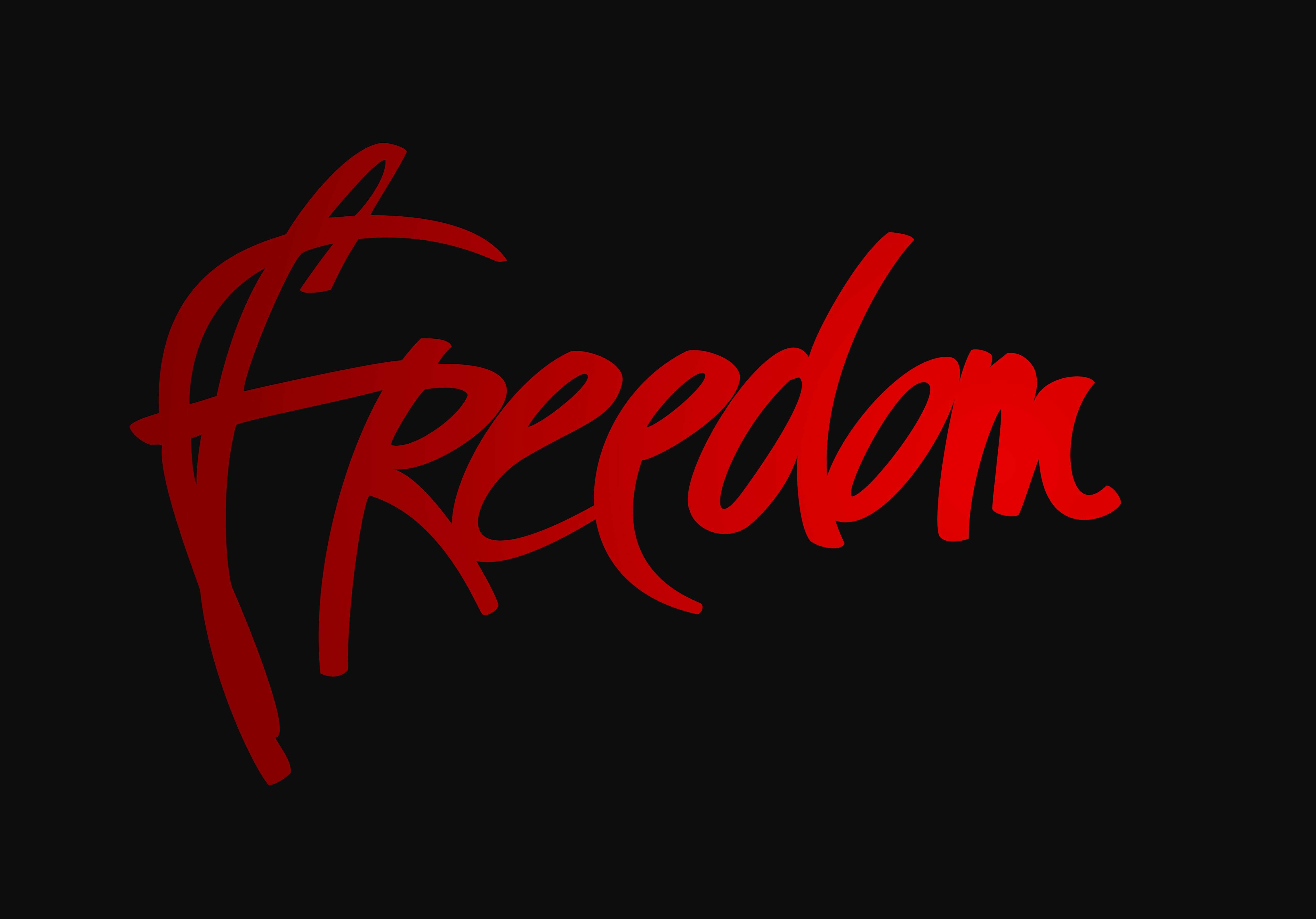 Freedom Wallpapers - Top Free Freedom Backgrounds - WallpaperAccess
