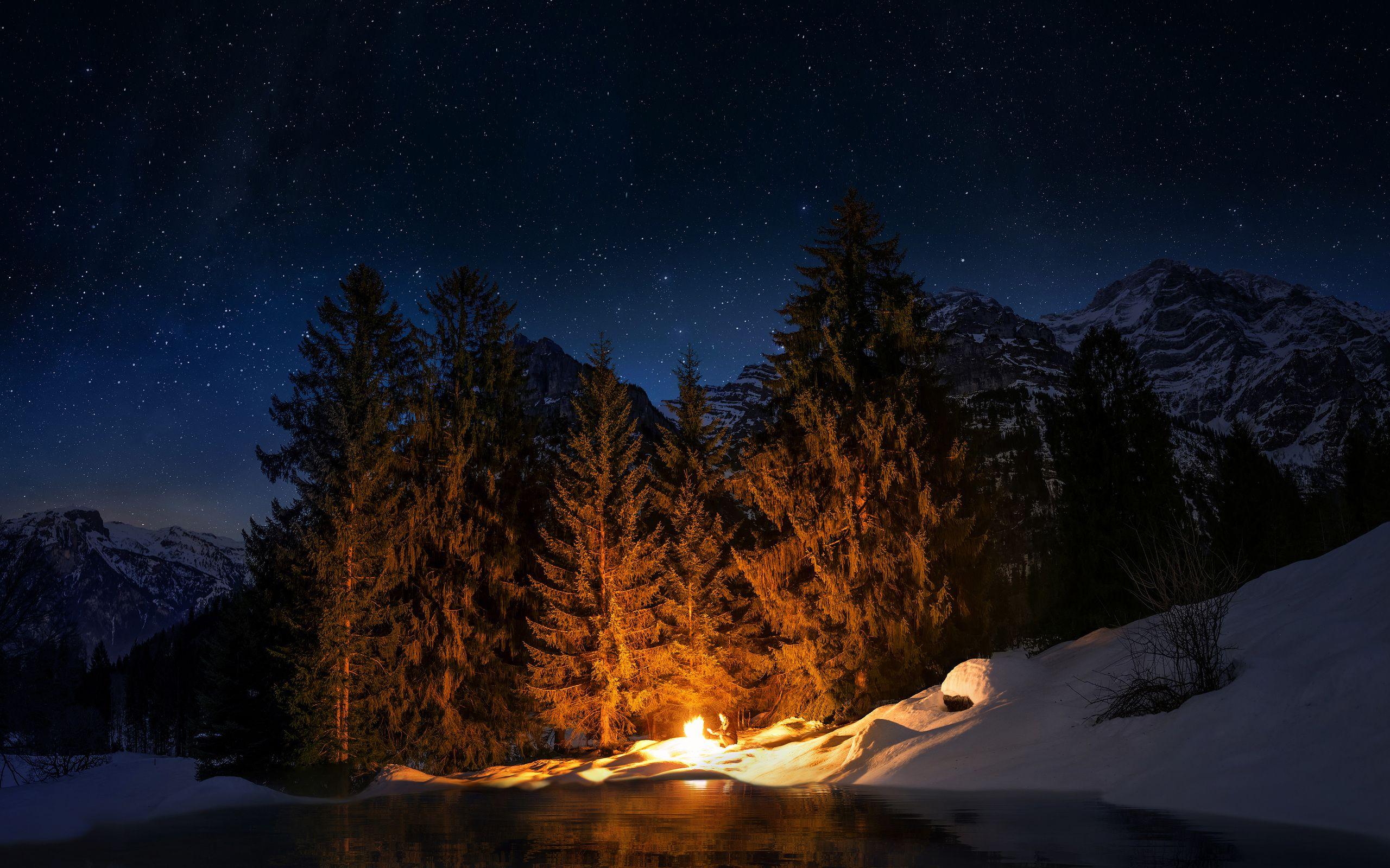 2560x1600 Campfire Forest 2560x1600 Resolution HD 4k Wallpaper, Image, Background, Photo and Picture