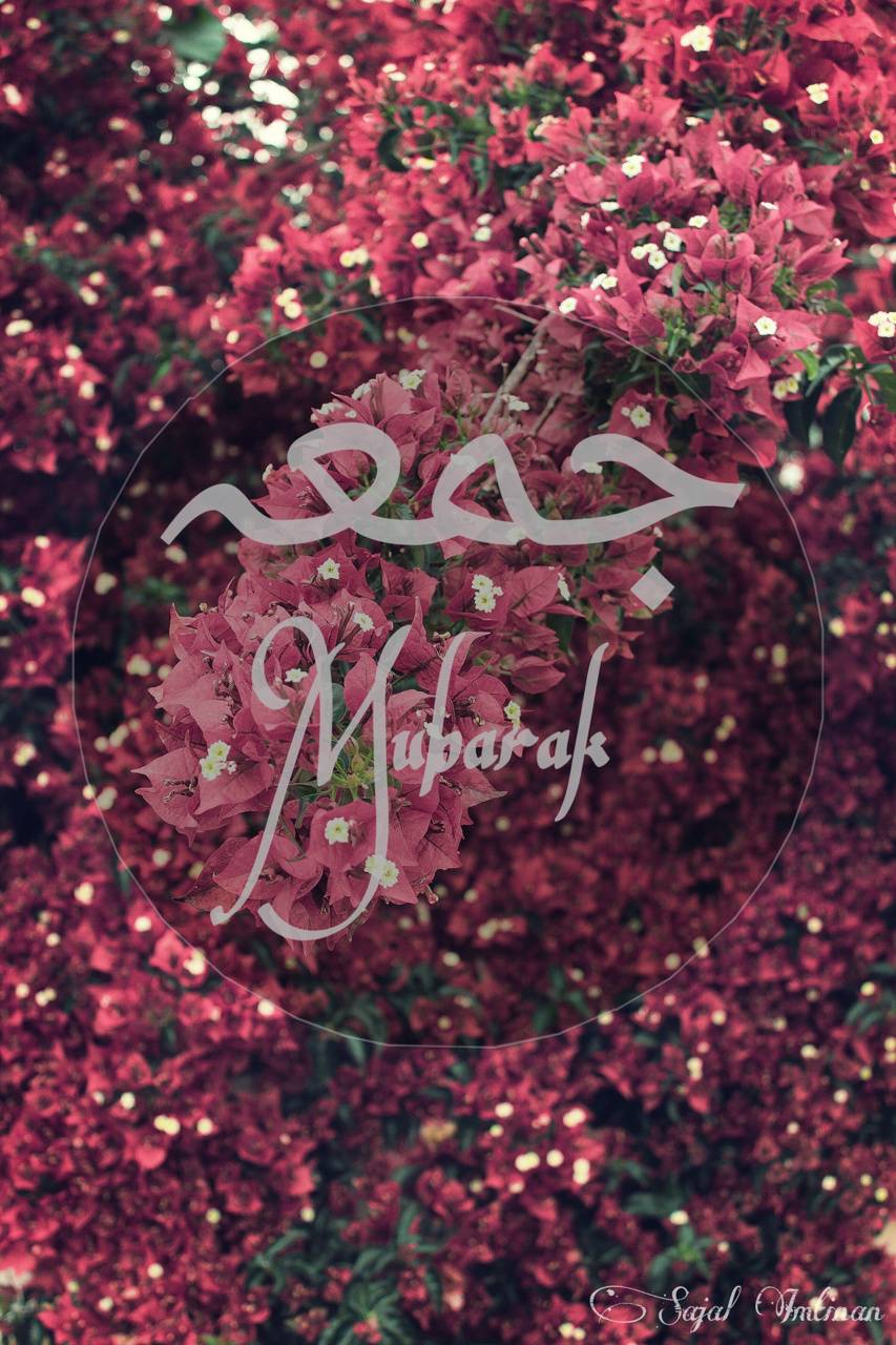 853x1280 jummah mubarak wallpaper