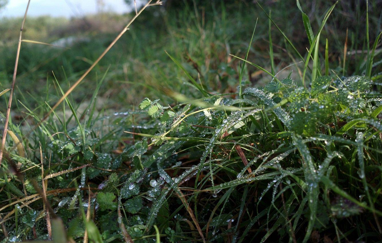 Relaxing Rain Wallpapers - Top Free Relaxing Rain Backgrounds ...