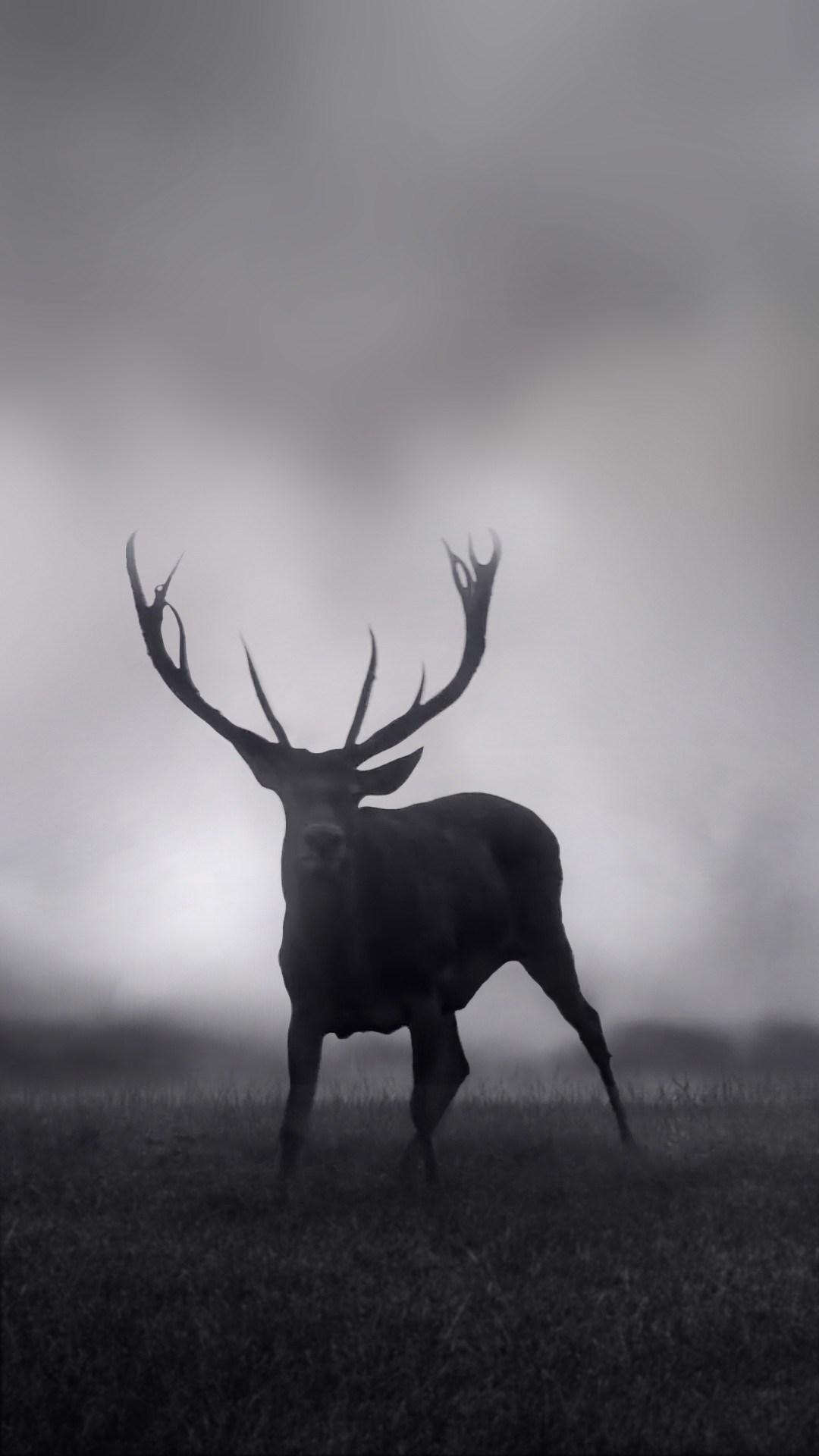 1080x1920 iPhone Red Deer