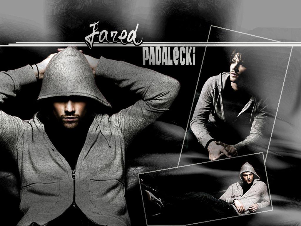 1024x768 Free download JARED jared padalecki 29657871 1024 768jpg [1024x768] for your Desktop, Mobile & Tablet. Explore Jared Padalecki Wallpaper. Jensen Ackles Wallpaper Desktop Wallpaper, Jensen Ackles Jared Padalecki Wallpaper