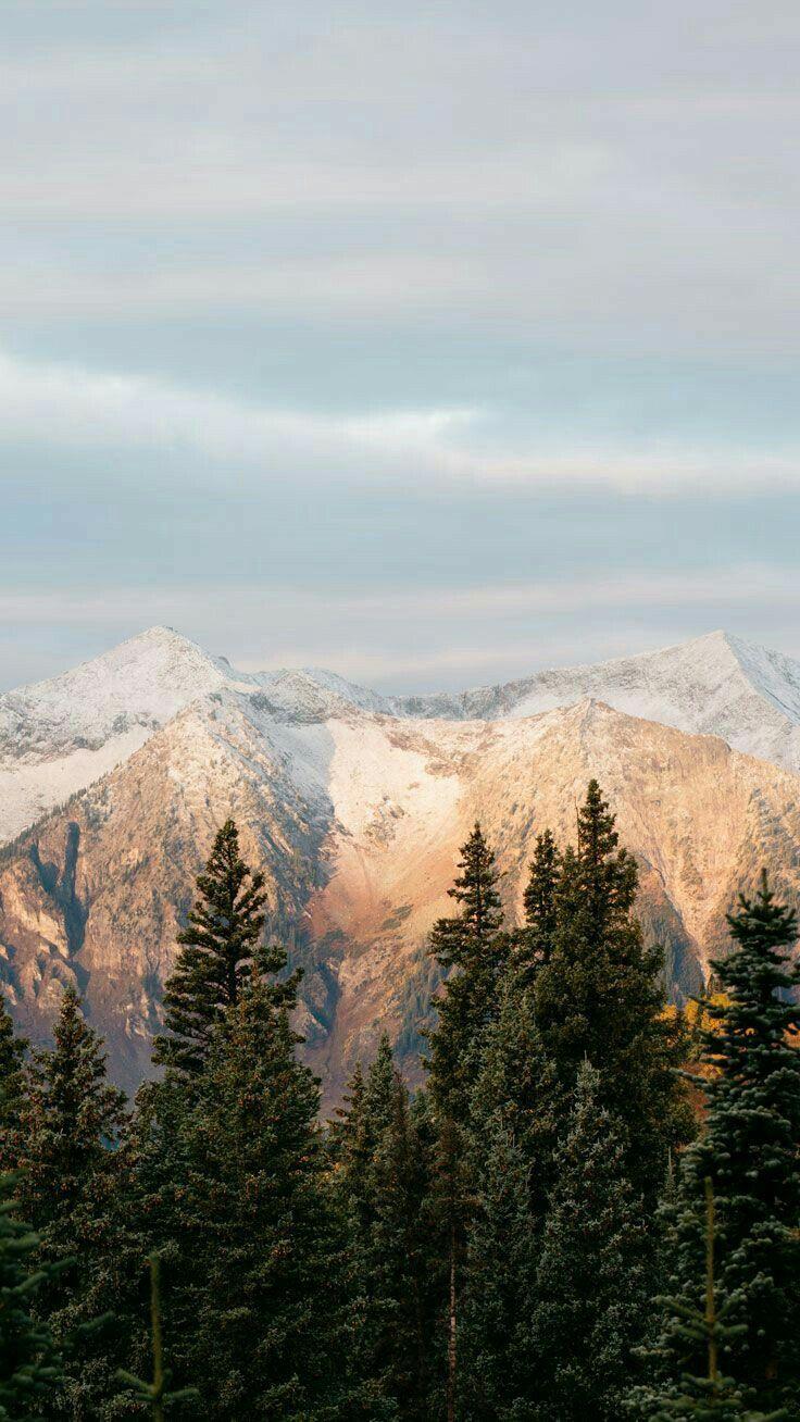 736x1308 What are men compared to rocks and trees and mountains?. Nature photography, Nature wallpaper, Beautiful nature