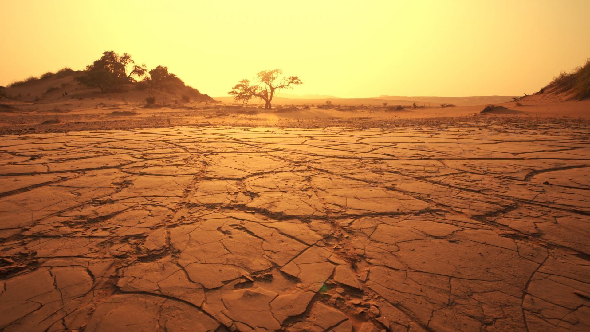1920x1080 2015 04 Desert- Landscape, Namib Desert, Sonoran Desert