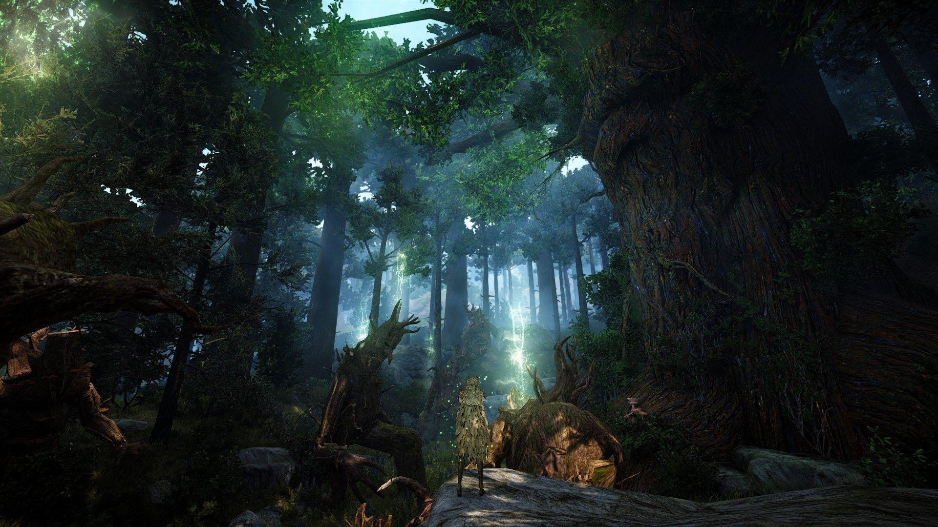1920x1080 Black Desert Online Wallpaper
