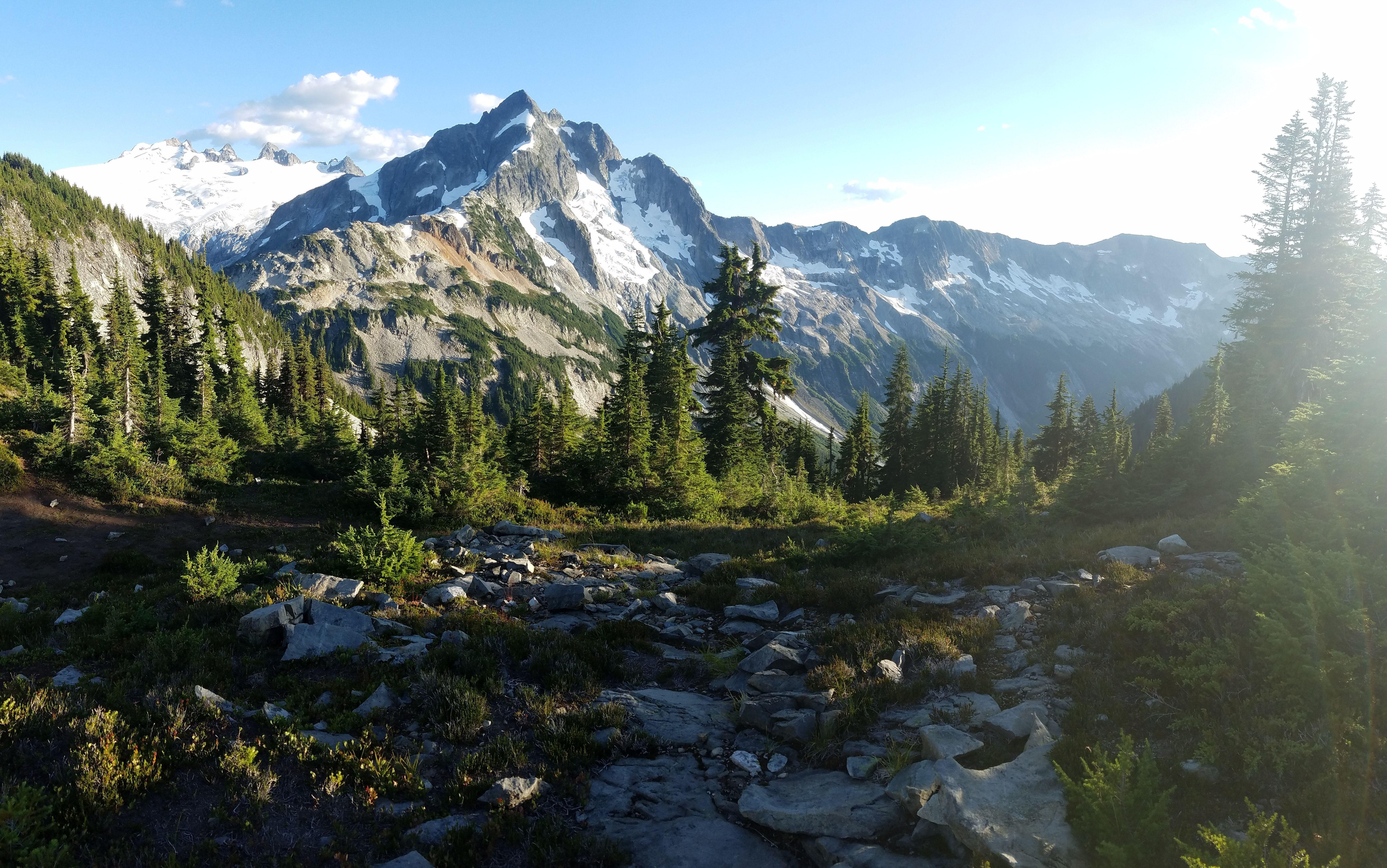 6160x3856 Green Forest Near Mountain Range Under Clear Sky · Free