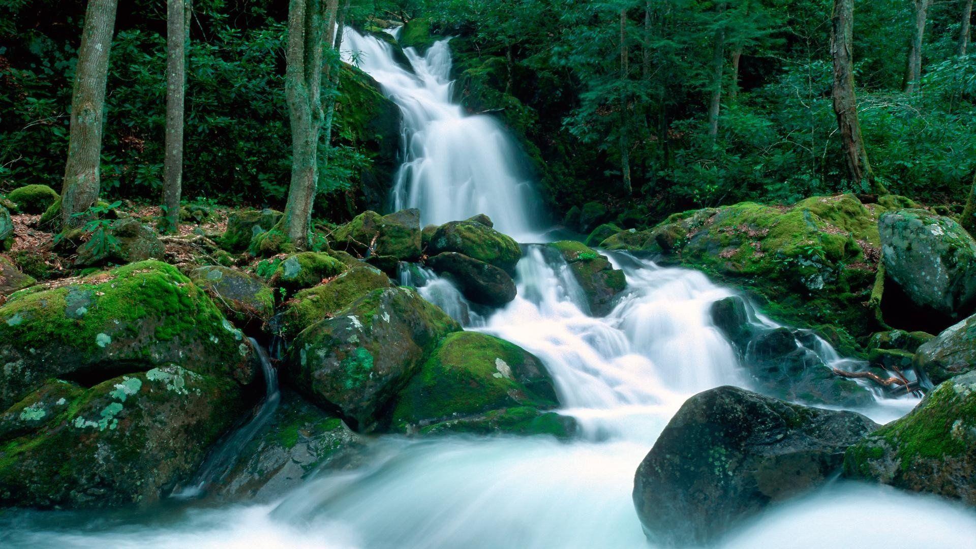 1920x1080 Landscapes nature falls Great Smoky Mountains creek North Carolina wallpaperx1080
