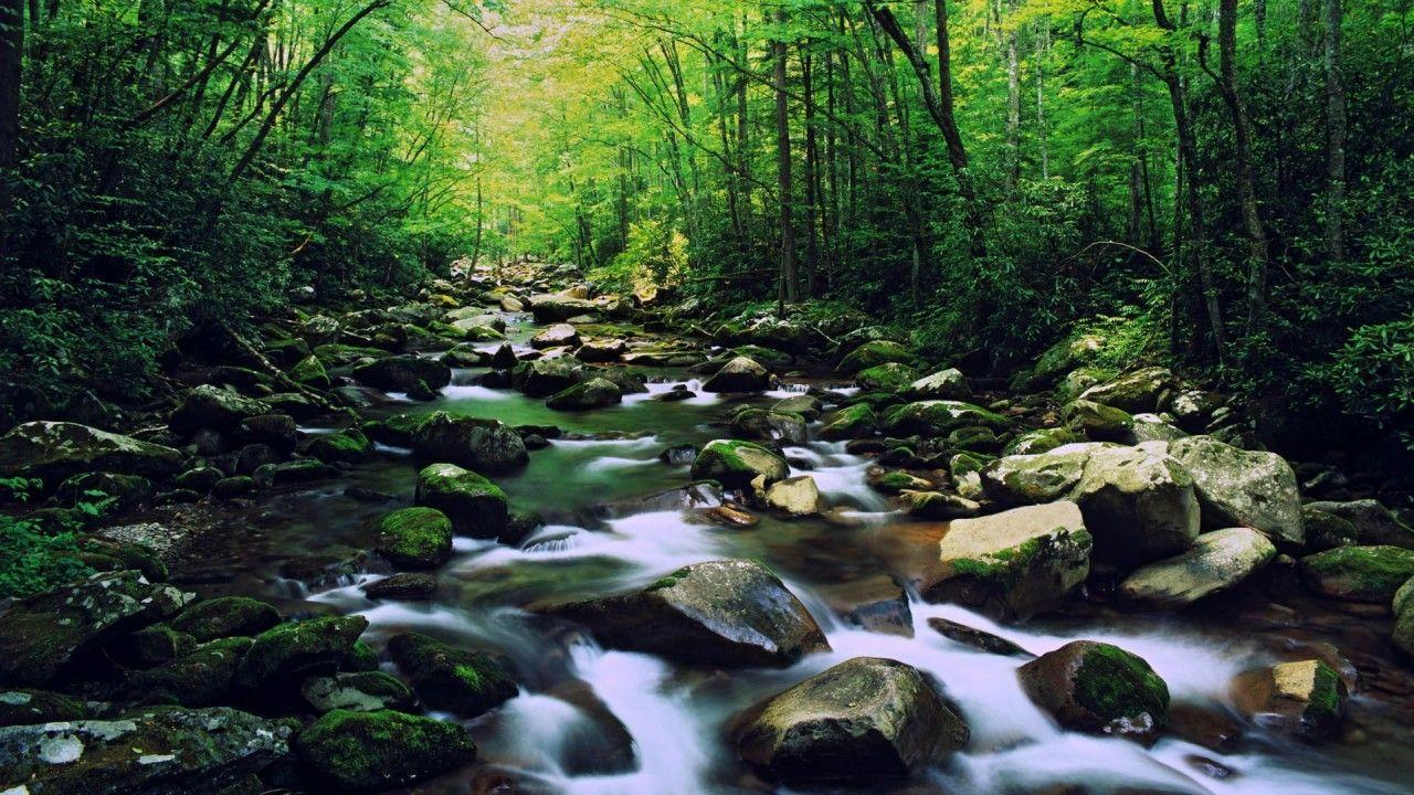 1280x720 Great Smoky Mountains HD .itl.cat