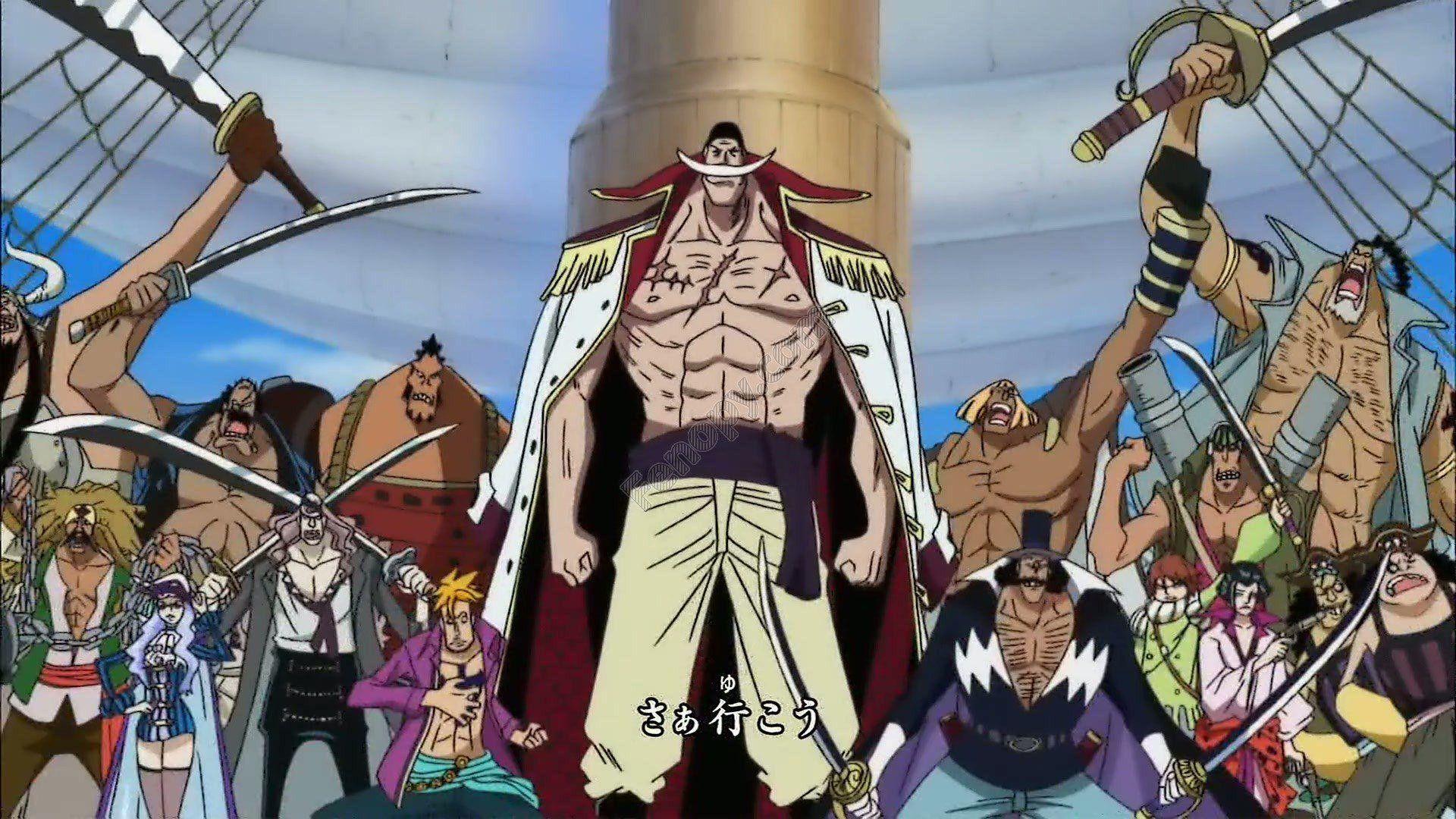 Whitebeard Pirates Wallpapers - Top Free Whitebeard Pirates Backgrounds ...