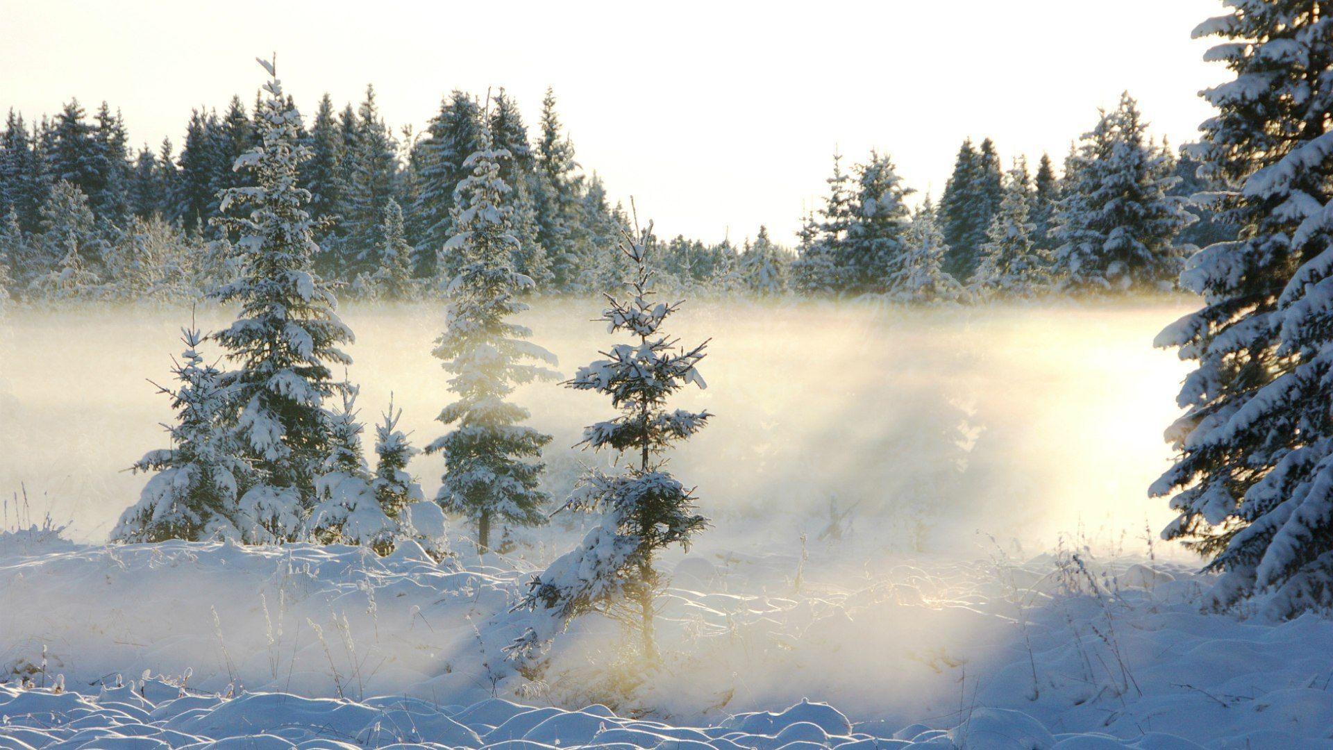 1920x1080 Frosty winter morning wallpaper and image, picture, photo