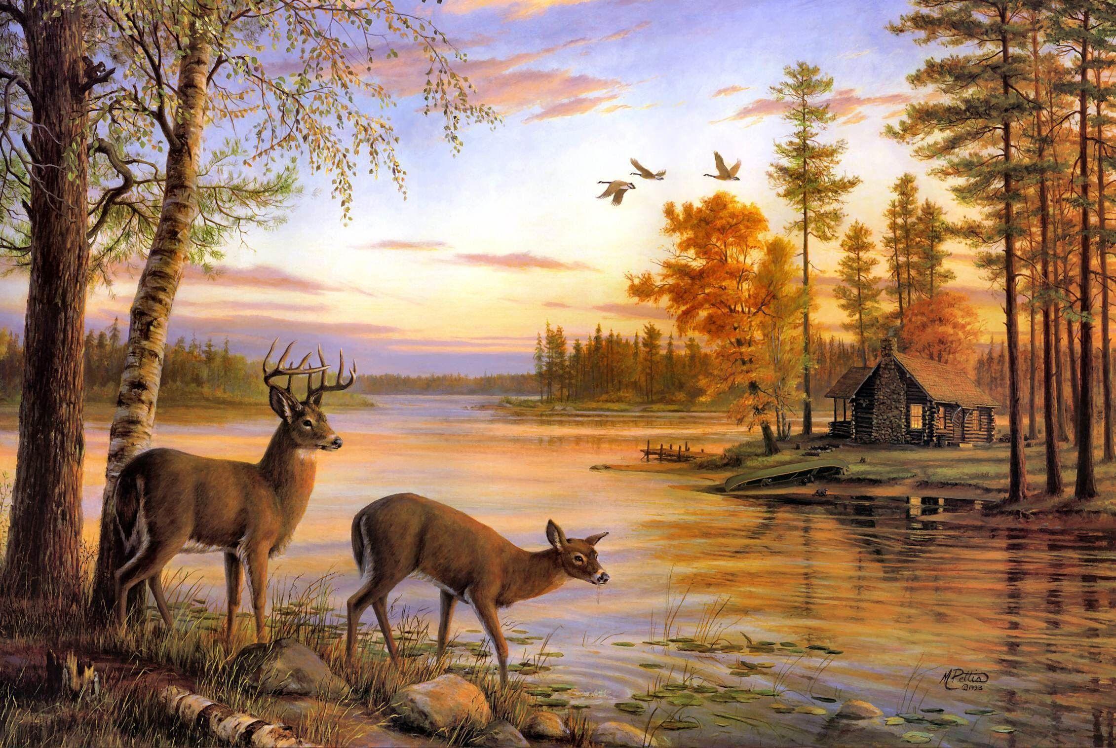 2261x1516 Deer Desktop Wallpaper