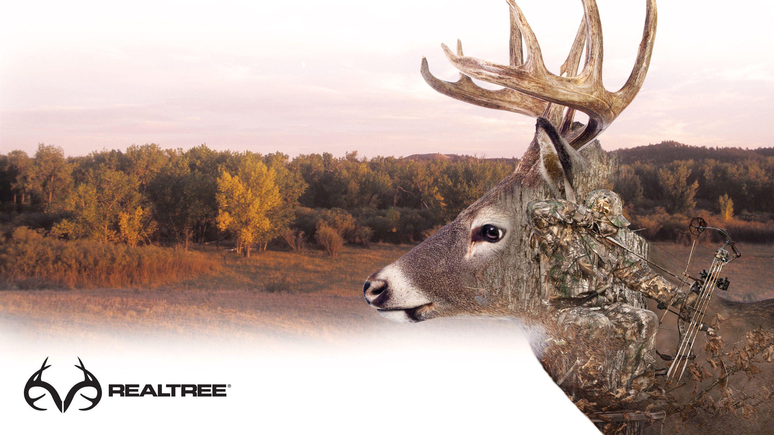 2560x1440 Whitetail Deer Cool Deer Background .