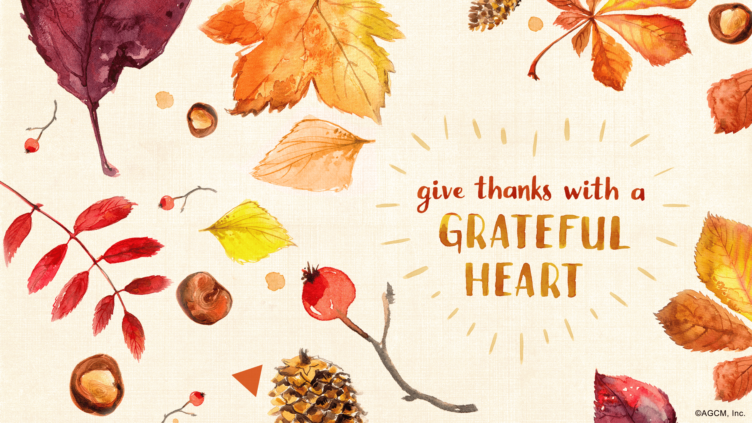 2560x1440 Happy November! (Free Digital Download) Greetings Blog