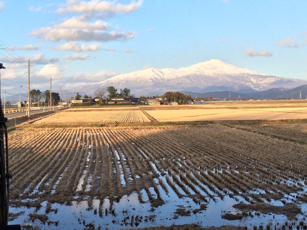1024x768 Sakata city in winter, the west coast of Japan: wonderful local