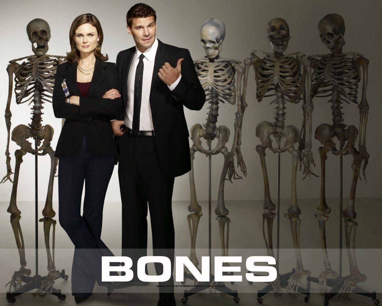1280x1024 Bones & Castle image Bones!♥ HD wallpaper and background photo
