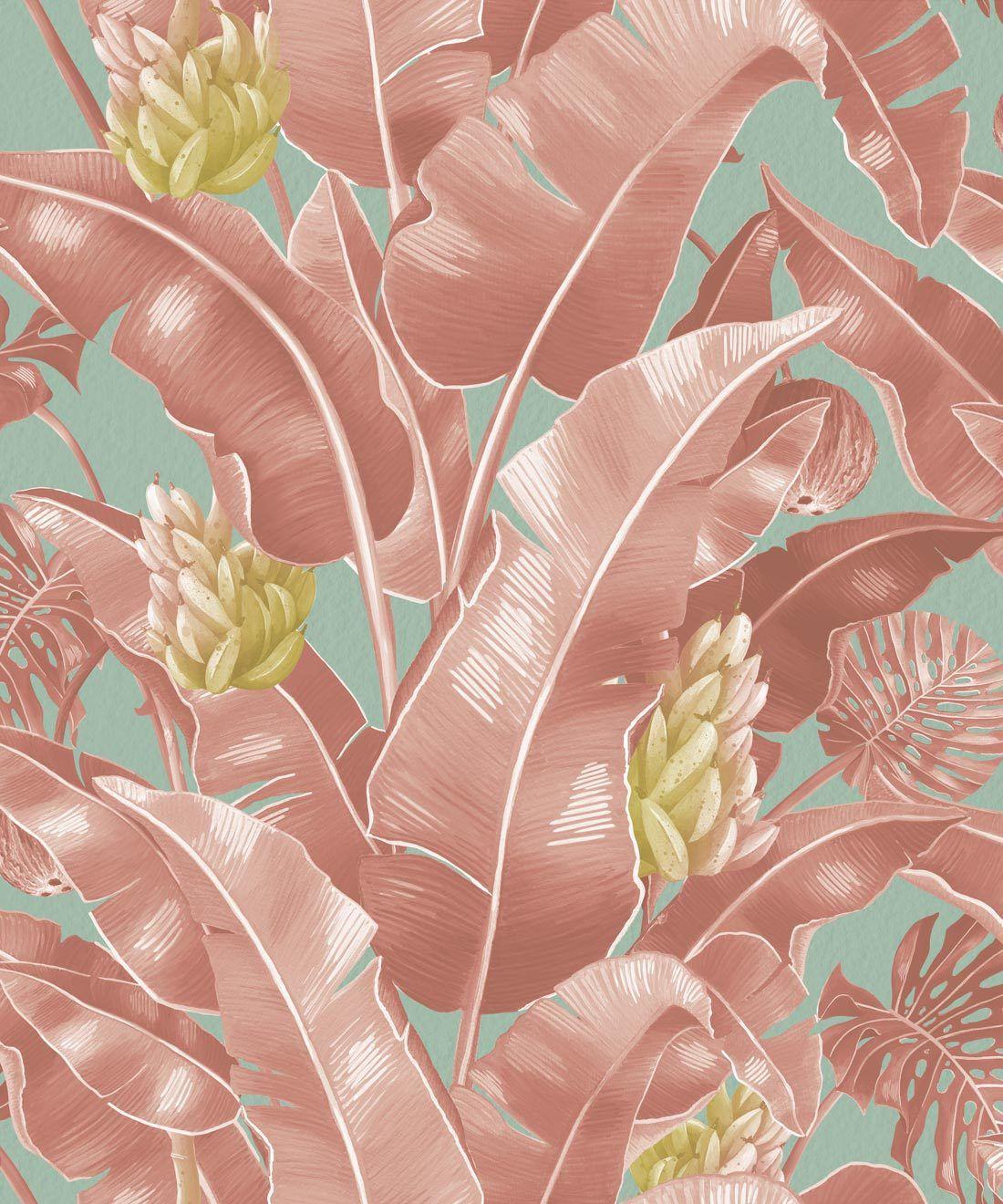 Pink Tropical Leaves Wallpapers Top Free Pink Tropical Leaves
