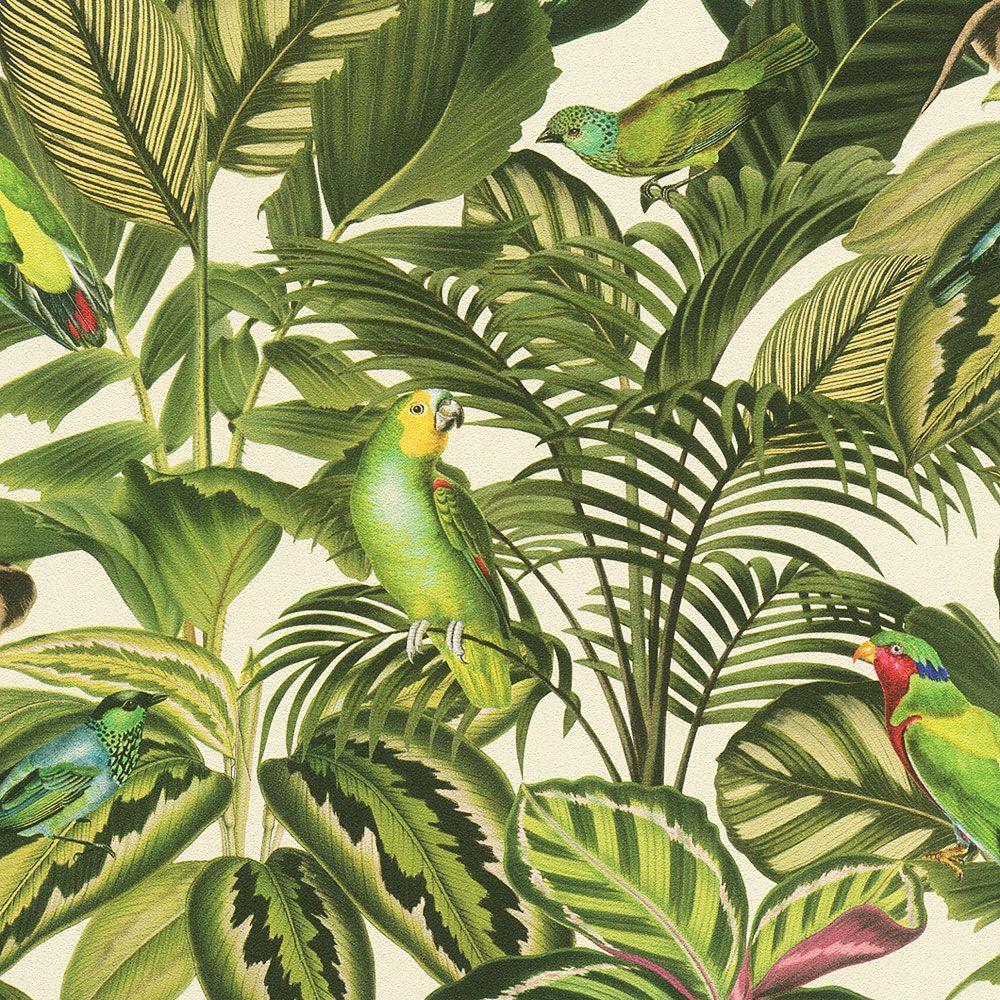 1000x1000 Freundin Tropical Parrot Wallpaper Green / Cream Rasch 439533