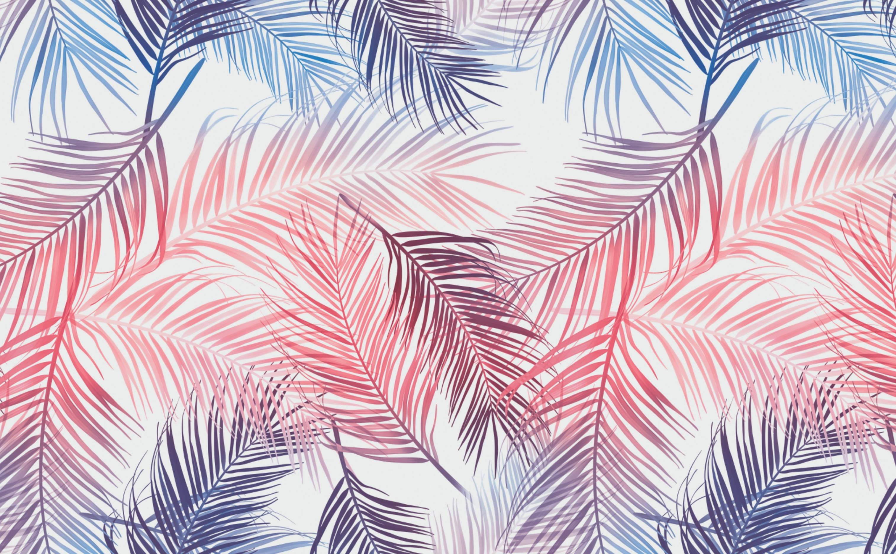 Tropical Palm Leaf Wallpapers - Top Hình Ảnh Đẹp