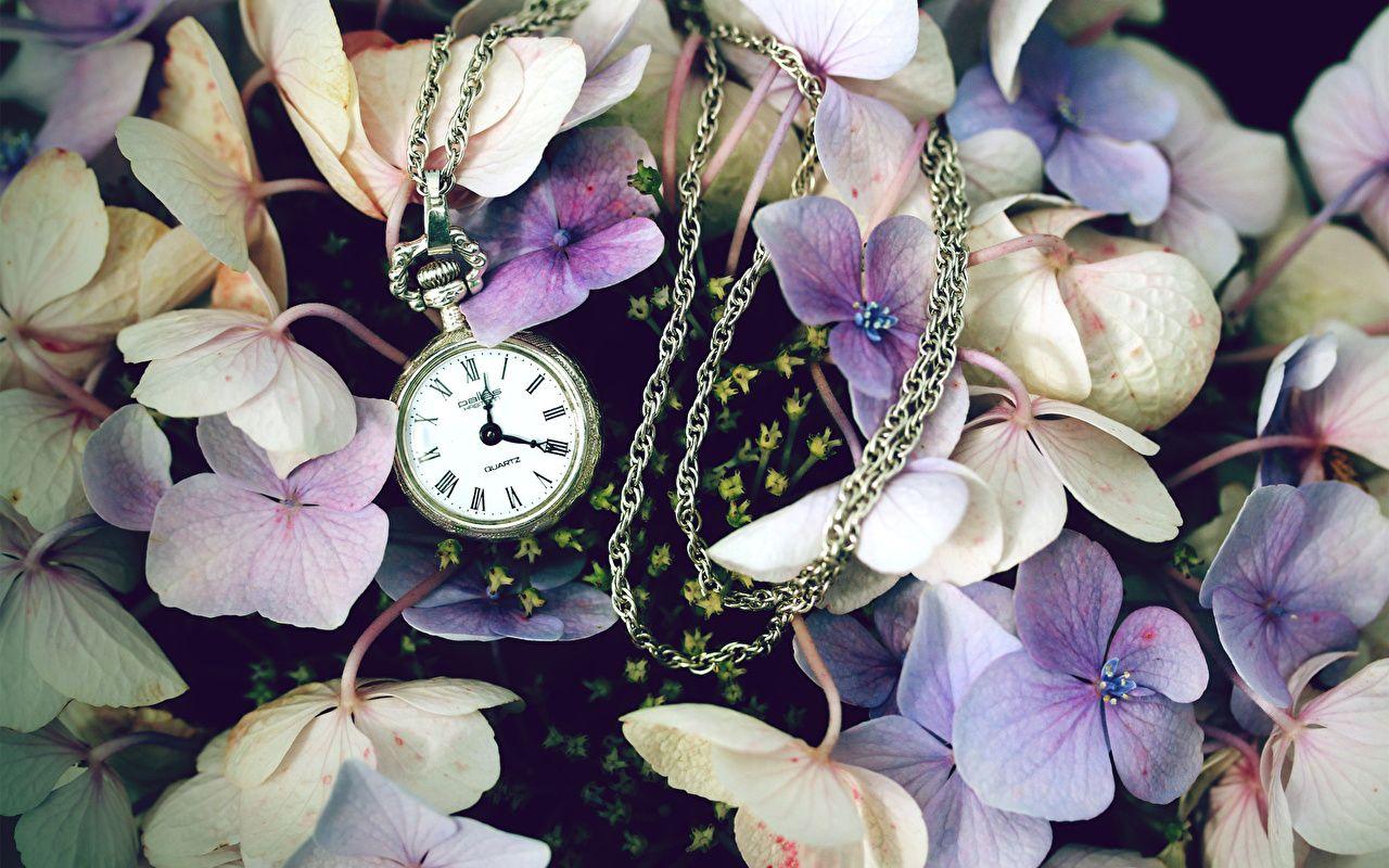 1280x800 Photos Pocket watch Clock antique flower