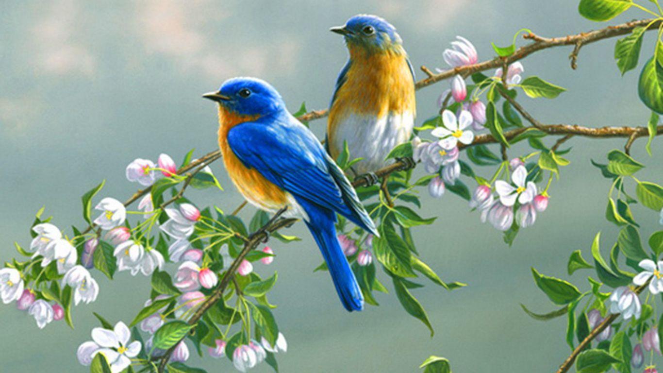 1366x768 Desktop tropical birds wallpaper