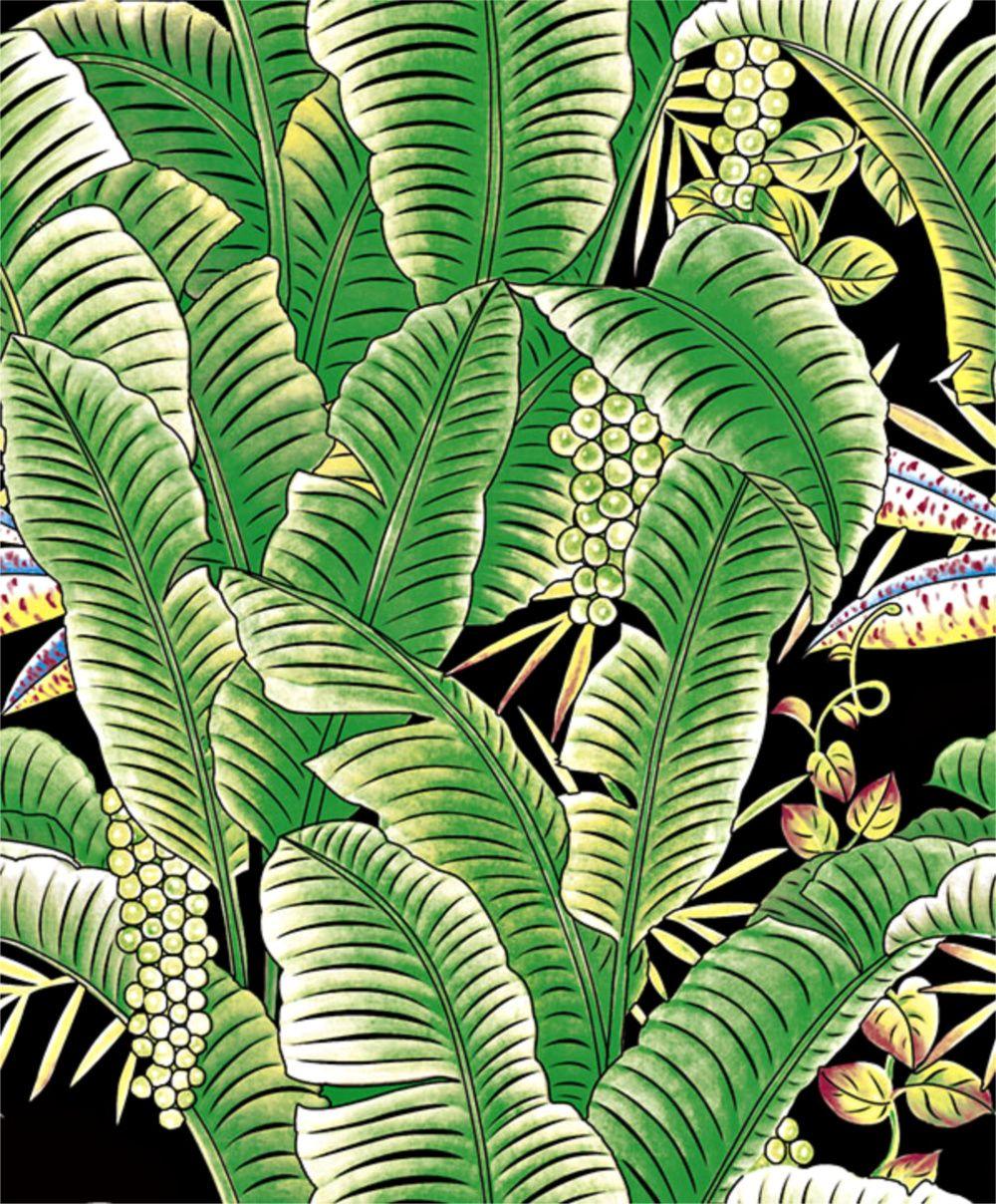 1000x1208 Tropical Banana Leaf Black and Green Wallpaper by Grace & Gardenia G63152