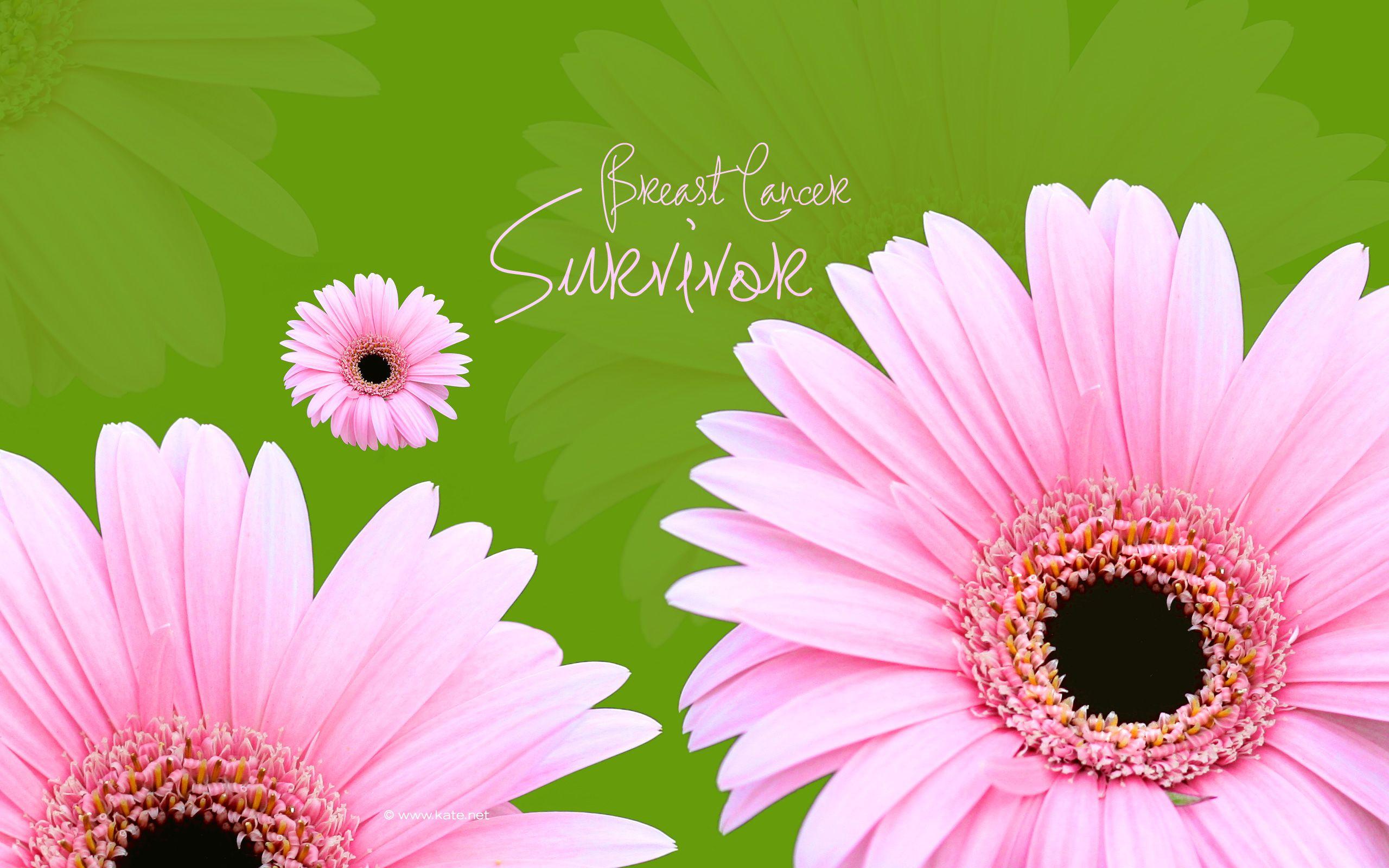 2560x1600 Breast Cancer Awareness Wallpaper by