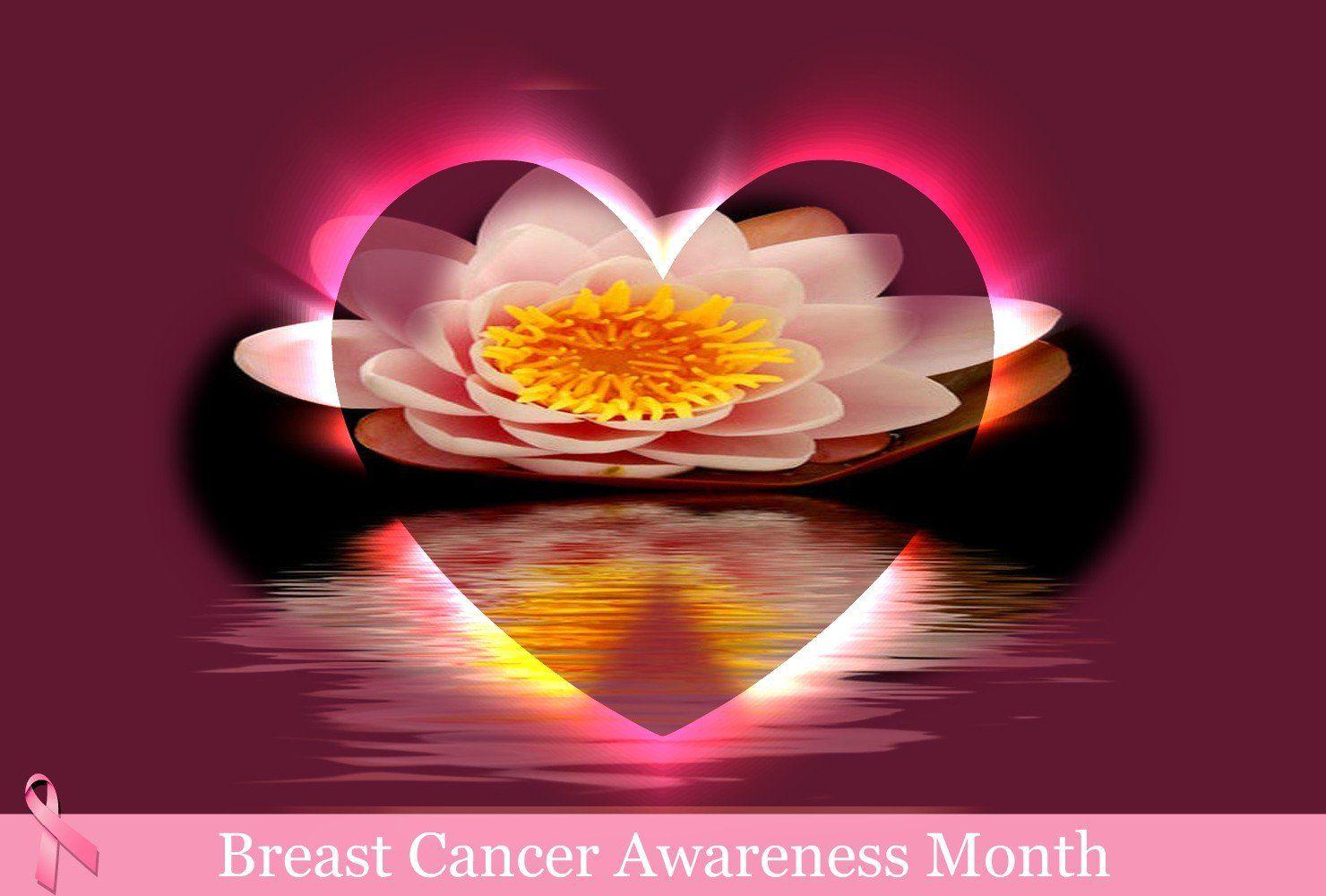 1480x1000 Breast Cancer Awareness HD Wallpaper / Desktop and Mobile Image & Photo