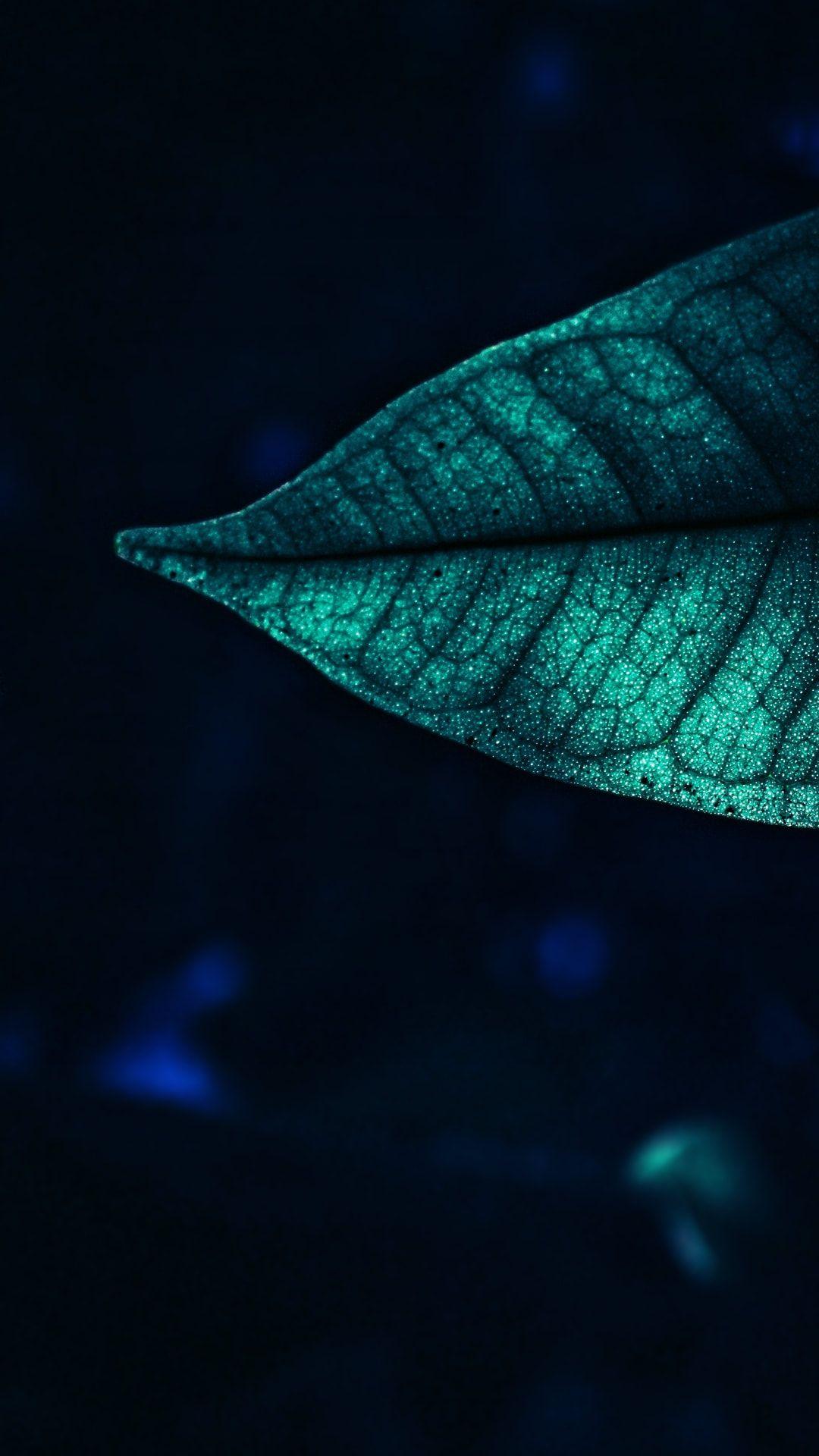 1080x1920 Beautiful Black AMOLED Wallpaper HD Wallpaper