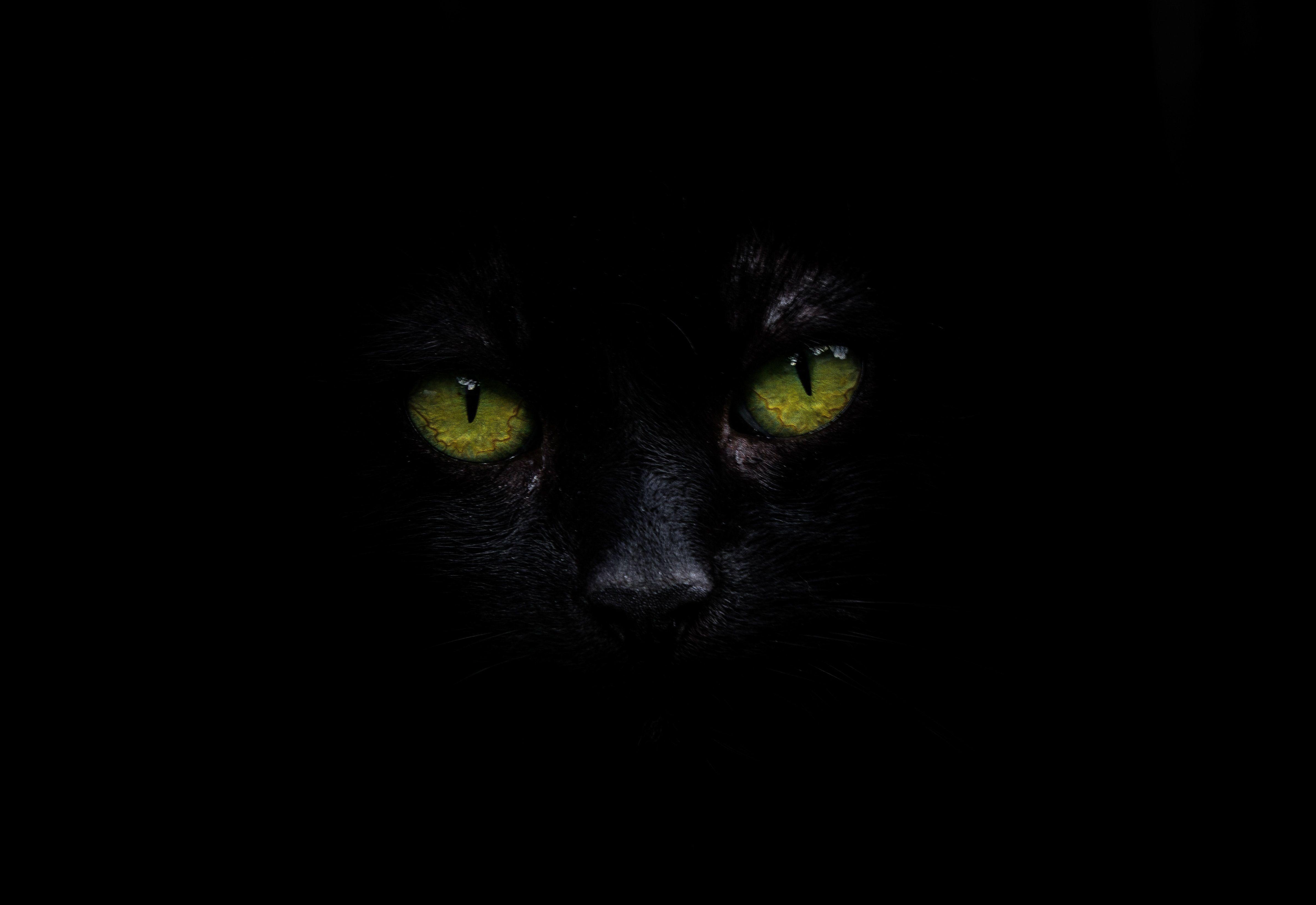 4782x3287 AMOLED Wallpaper [Free Download!]. best free wallpaper, black and white, black, and dark photo