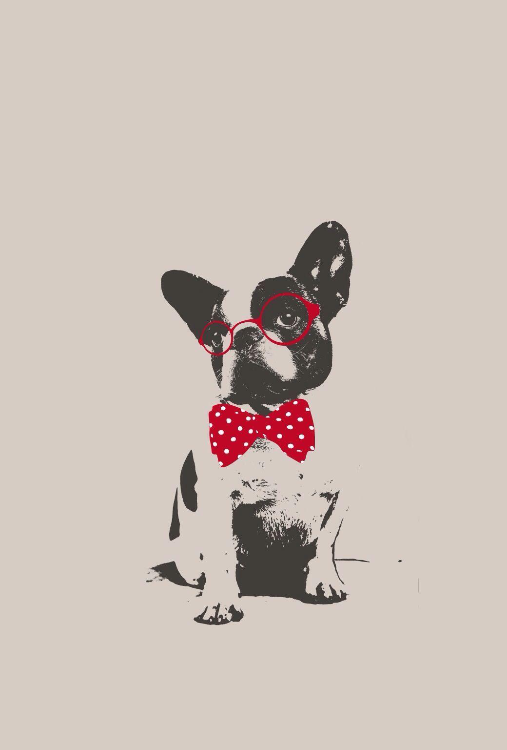 1040x1536 Bulldog iPhone 5. Animaux en tissu, Bouledogues, Chien