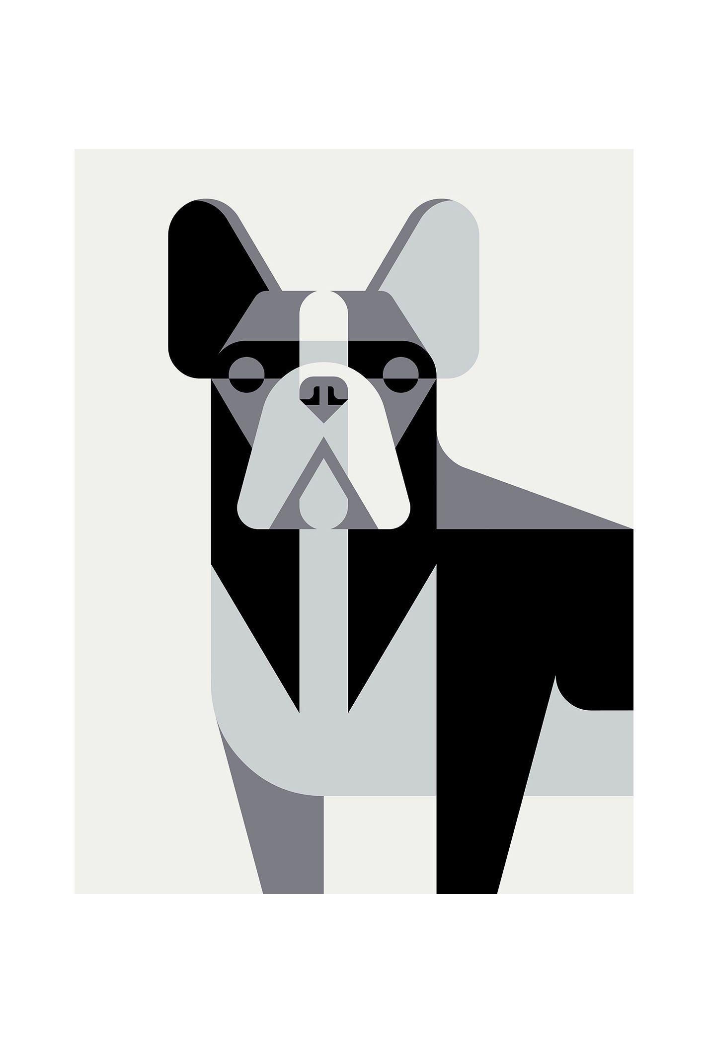 1425x2100 Josh Brill. French Bulldog Portrait
