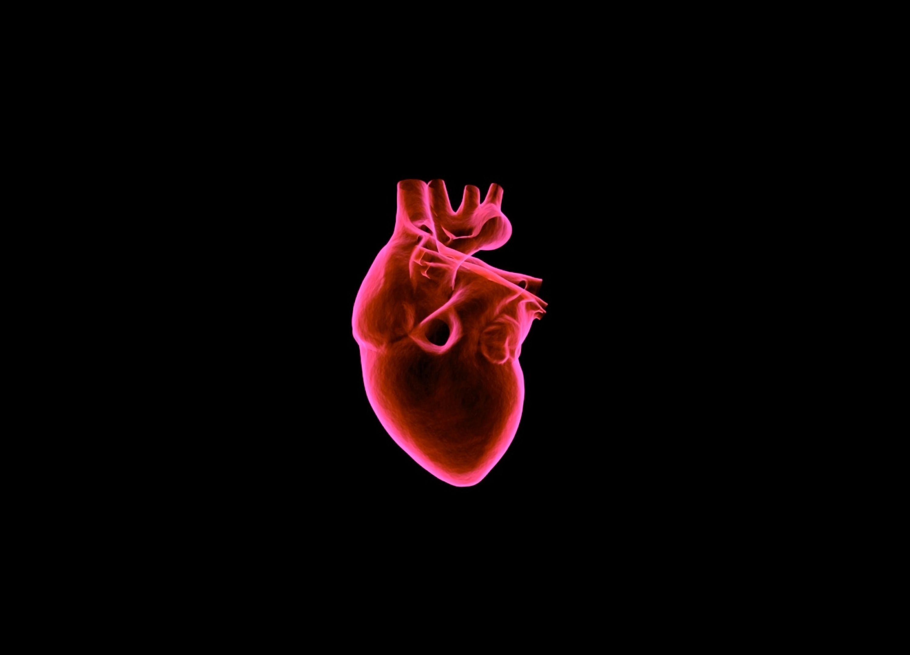 3000x2160 Download wallpaper 3000x2160 heart, art, muscular organ, dark background, red HD background
