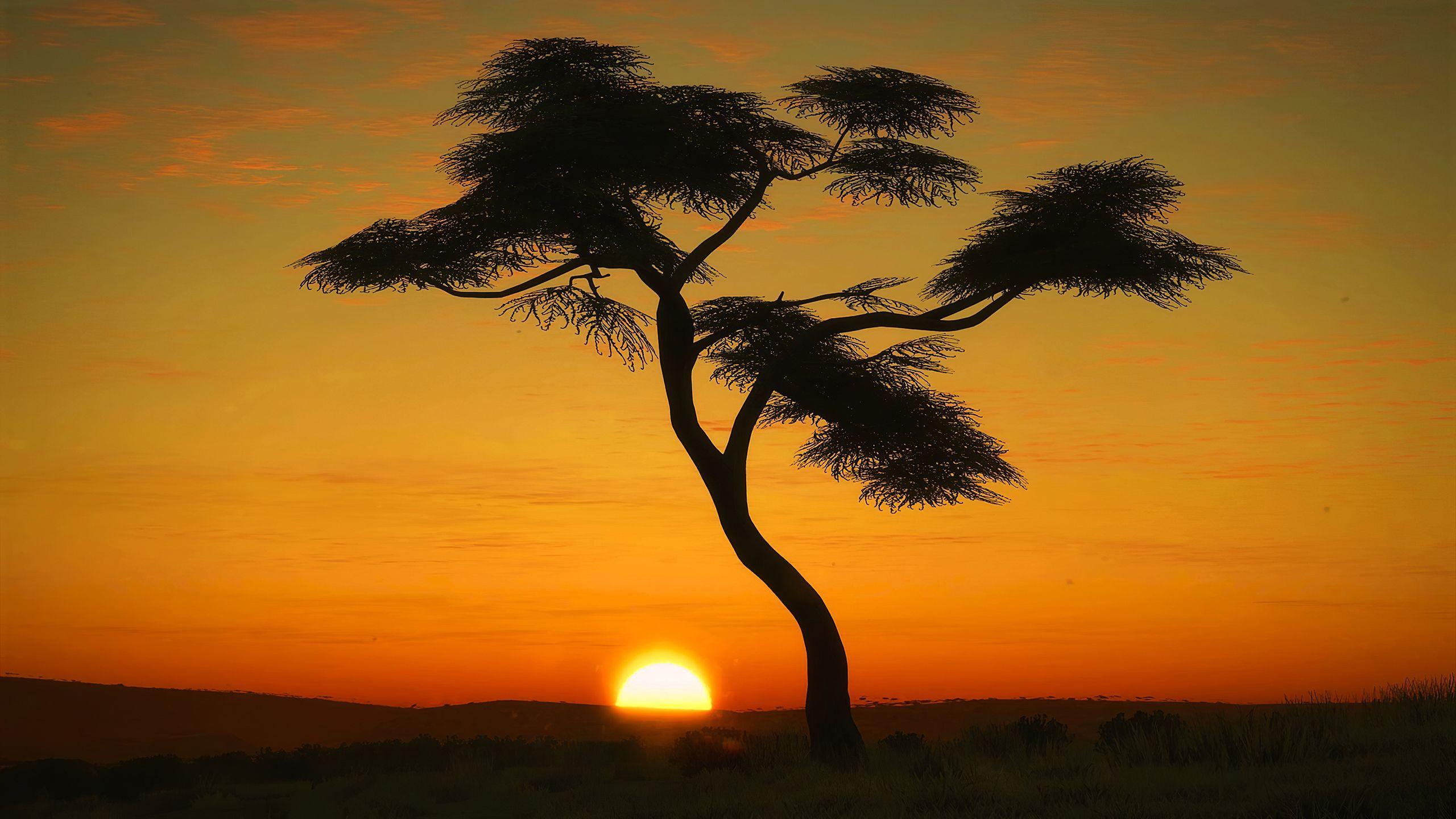 2560x1440 Masai Mara Sunrise, HD Nature, 4k Wallpaper, Image, Background, Photo and Picture