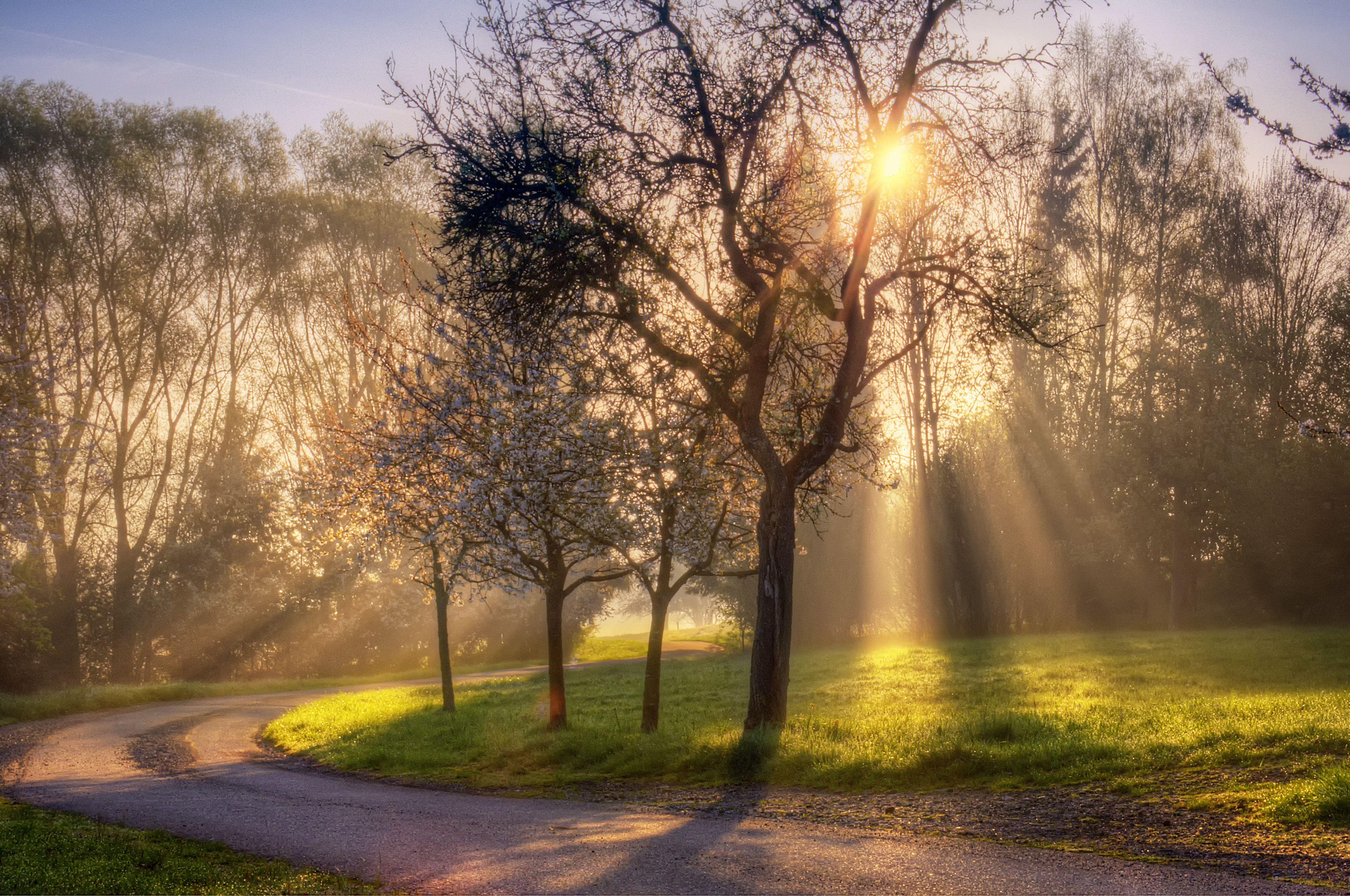 Spring Morning Wallpapers Top Free Spring Morning Backgrounds