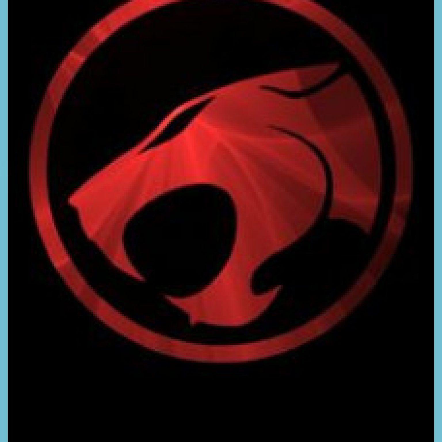 1536x1536 Best Thundercats, Silverhawks & TigerSharks Wallpaper image