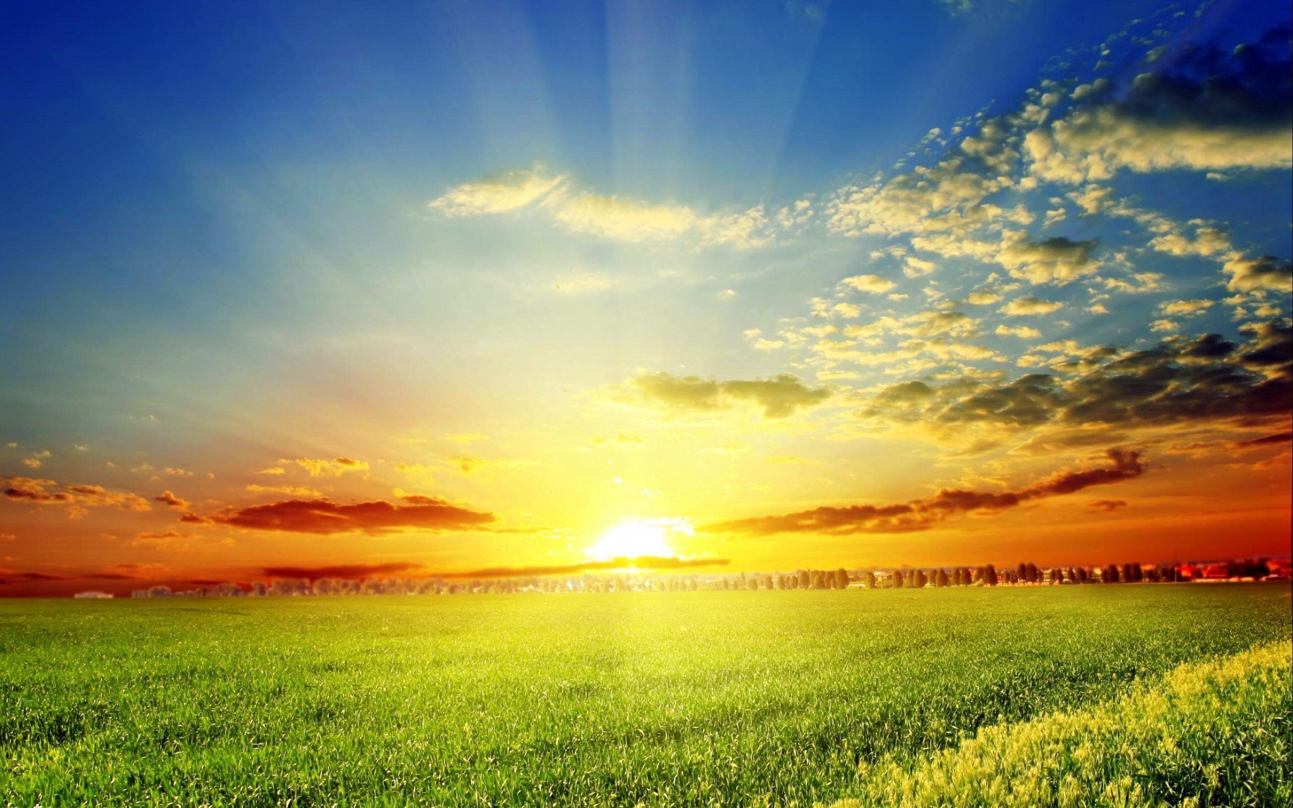 Spring Morning Wallpapers - Top Free Spring Morning Backgrounds ...