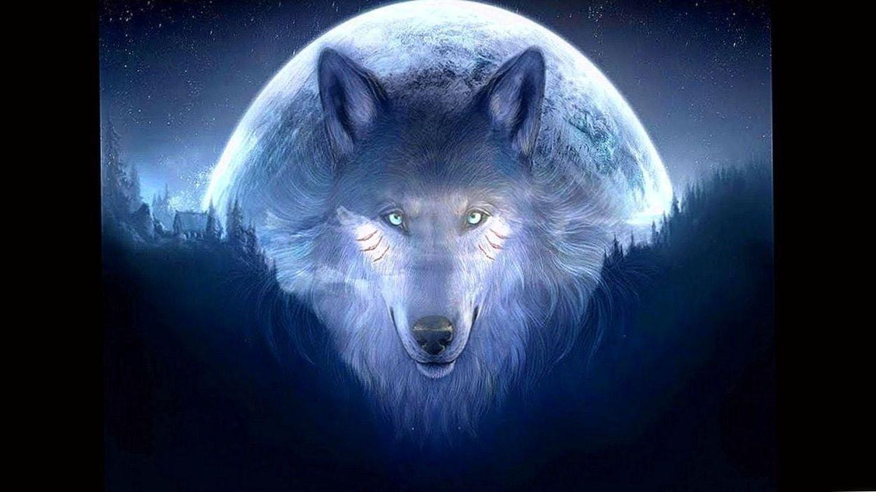 1252x704 Spirit Of The Wolf Wallpaper Wallpaper.pro