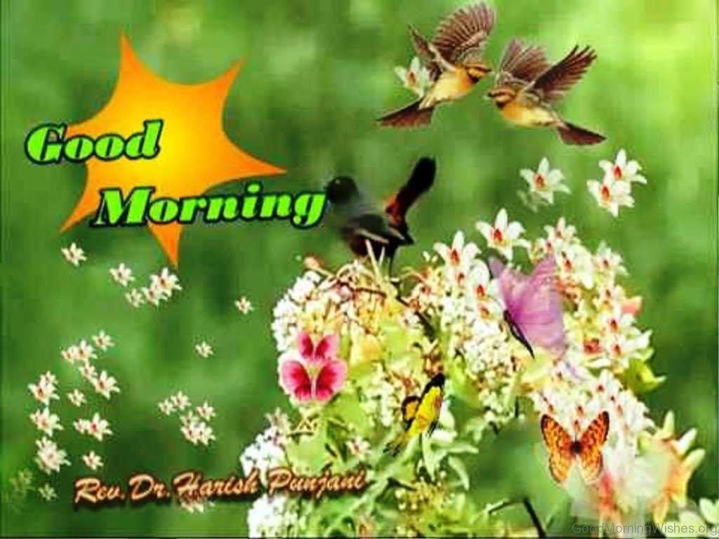 1024x768 Spring Good Morning Wishes