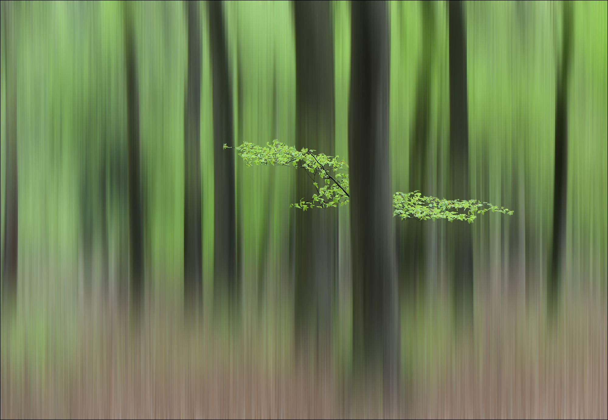 2000x1383 Spring Morning Wall Mural & Spring Morning Wallpaper