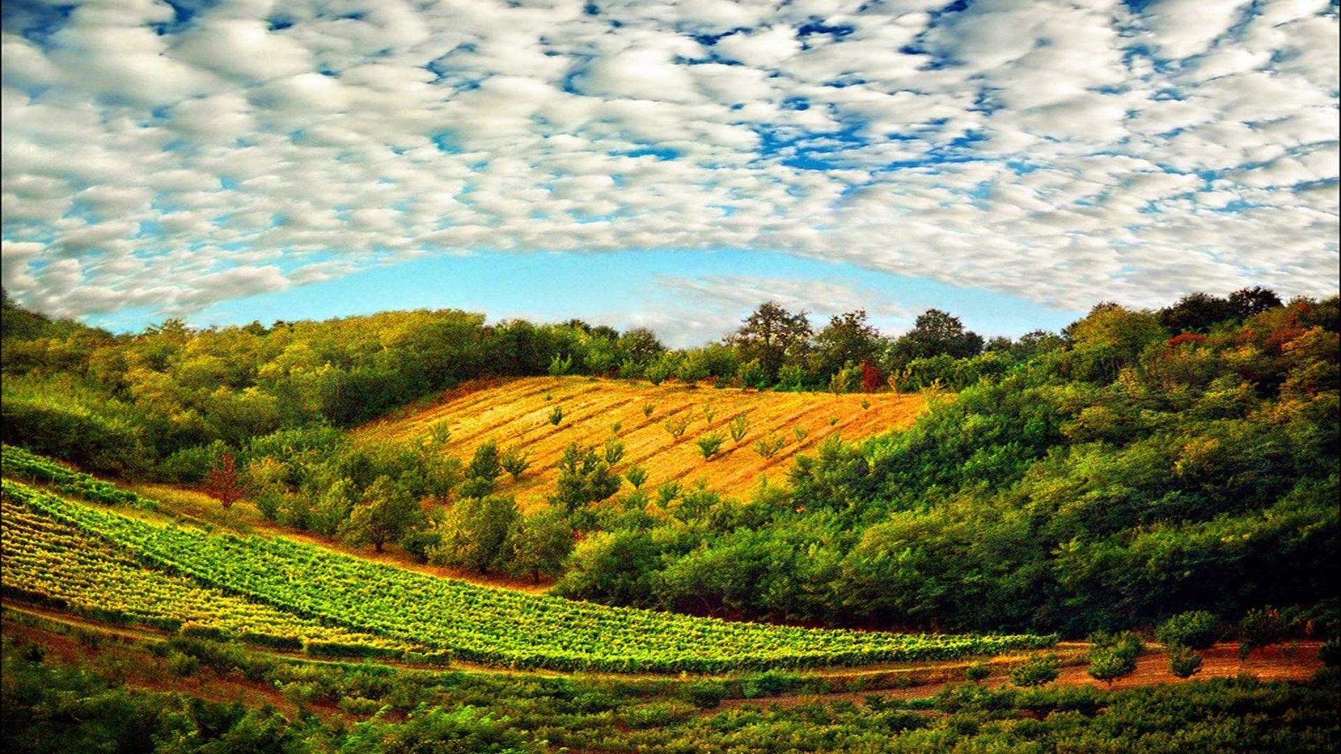 1920x1080 Back To 30 Serbia Wallpaper HD HD Wallpaper & Background Download