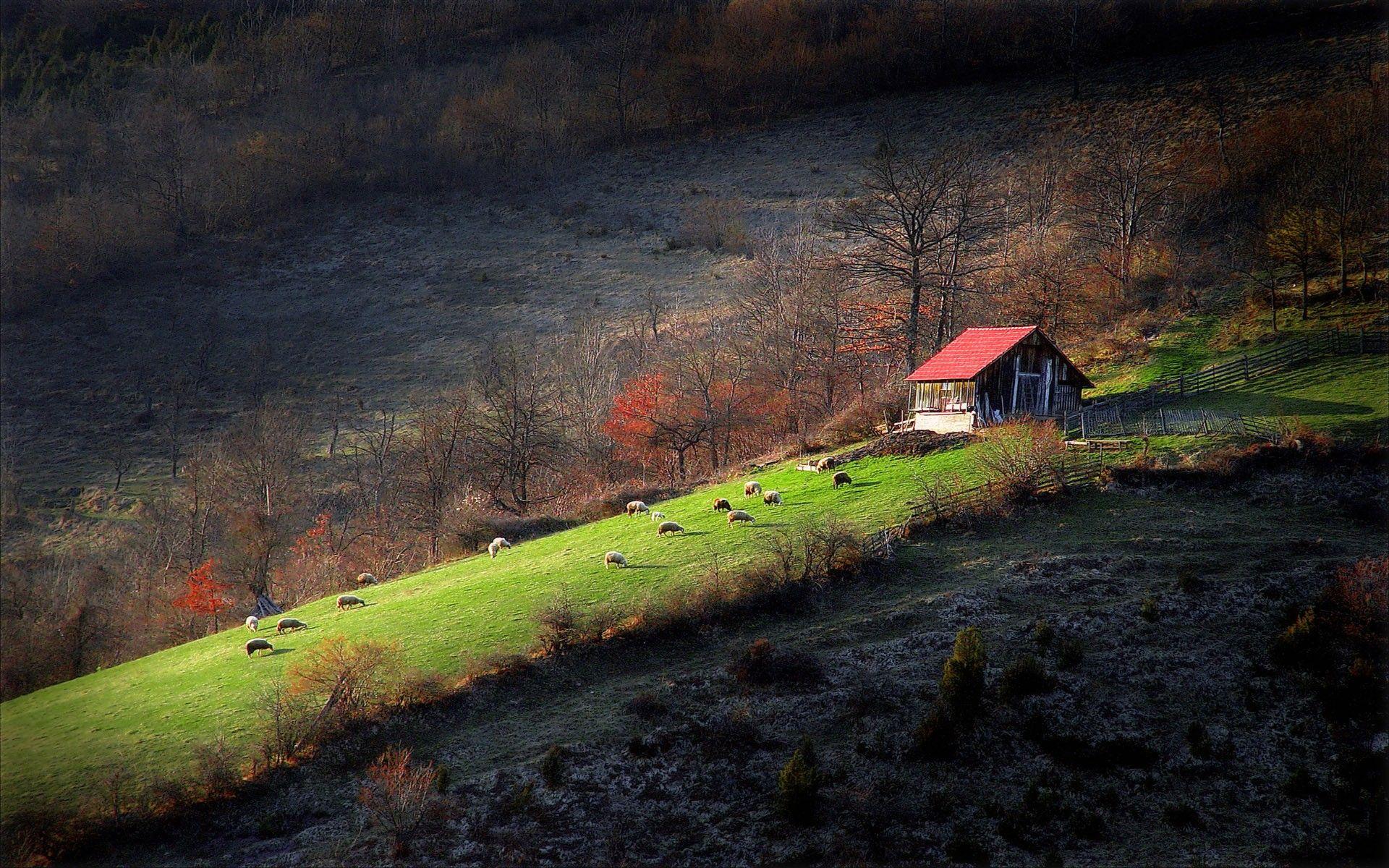 1920x1200 landscapes, Serbia wallpaper