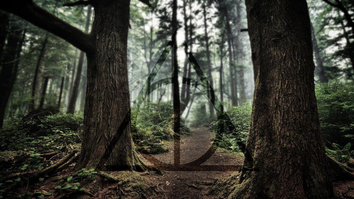 1191x670 Harry Potter Deathly Hallows Wallpaper