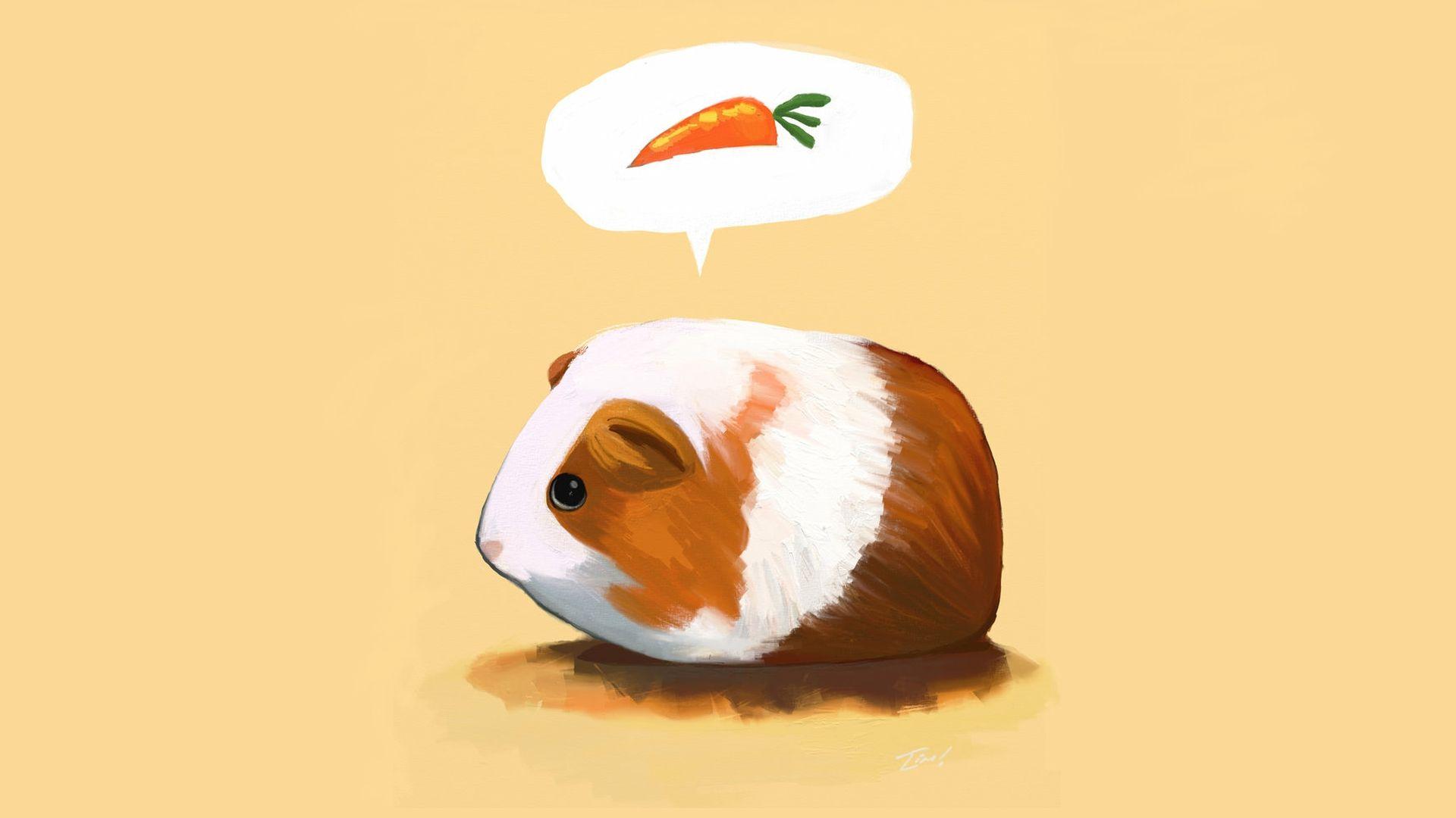 1920x1080 cartoons animals carrots guinea pigs guinea pig 1920x1080 wallpaper High Quality Wallpaper, High Definition Wallpaper