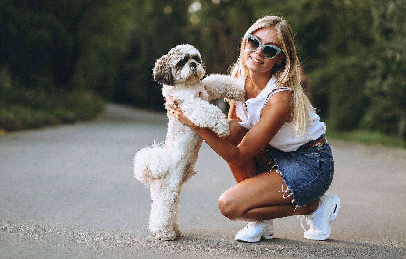 1332x850 Wallpaper girl, smile, dog, glasses, bokeh image for desktop, section настроения