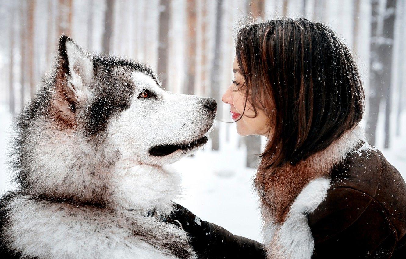 1332x850 Wallpaper GIRL, LOOK, SNOW, SMILE, DOG image for desktop, section ситуации