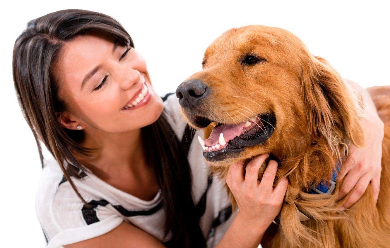1332x850 Wallpaper girl, smile, dog, brunette, white background, Retriever image for desktop, section настроения
