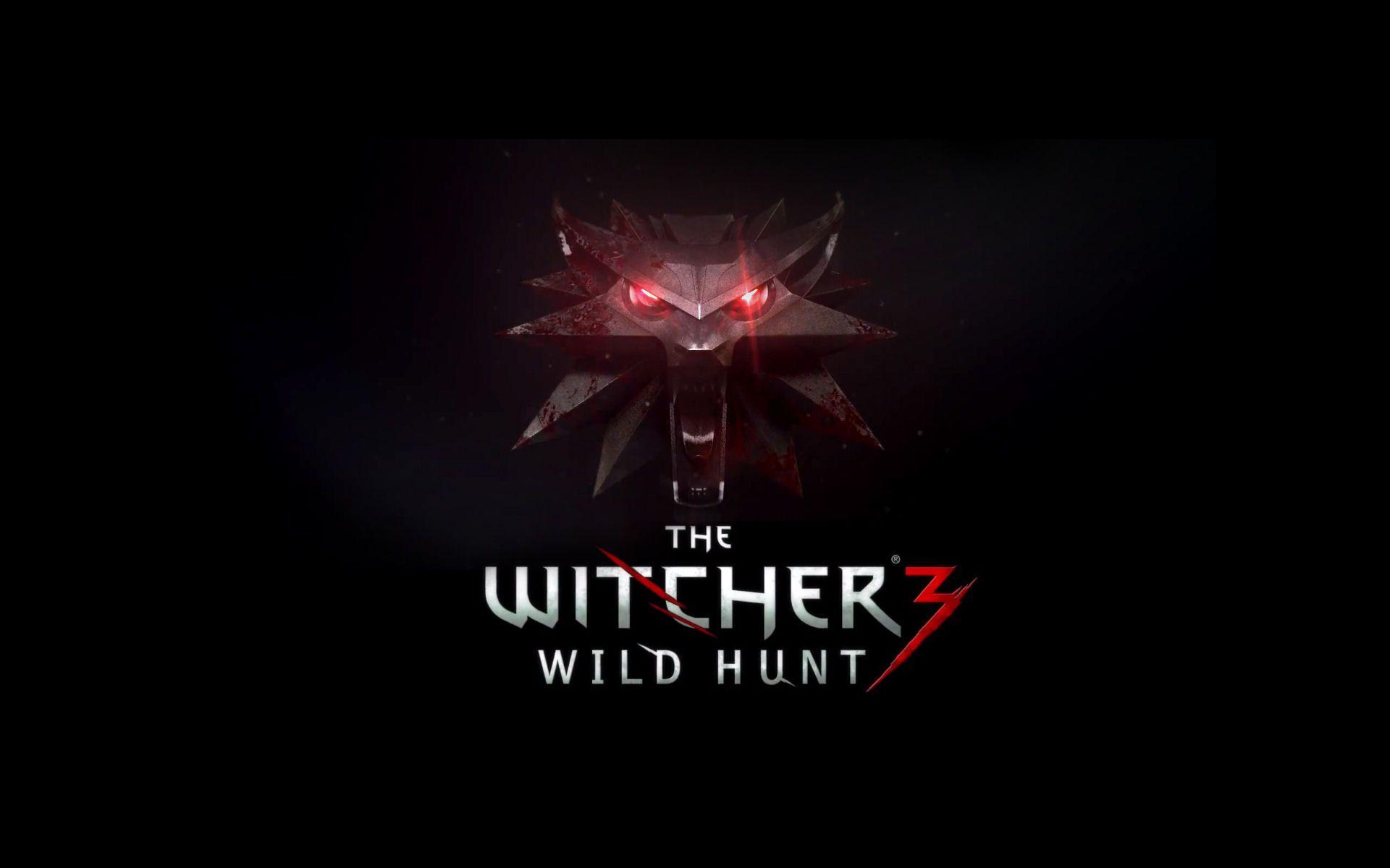 1920x1200 Witcher Wolf Wallpaper